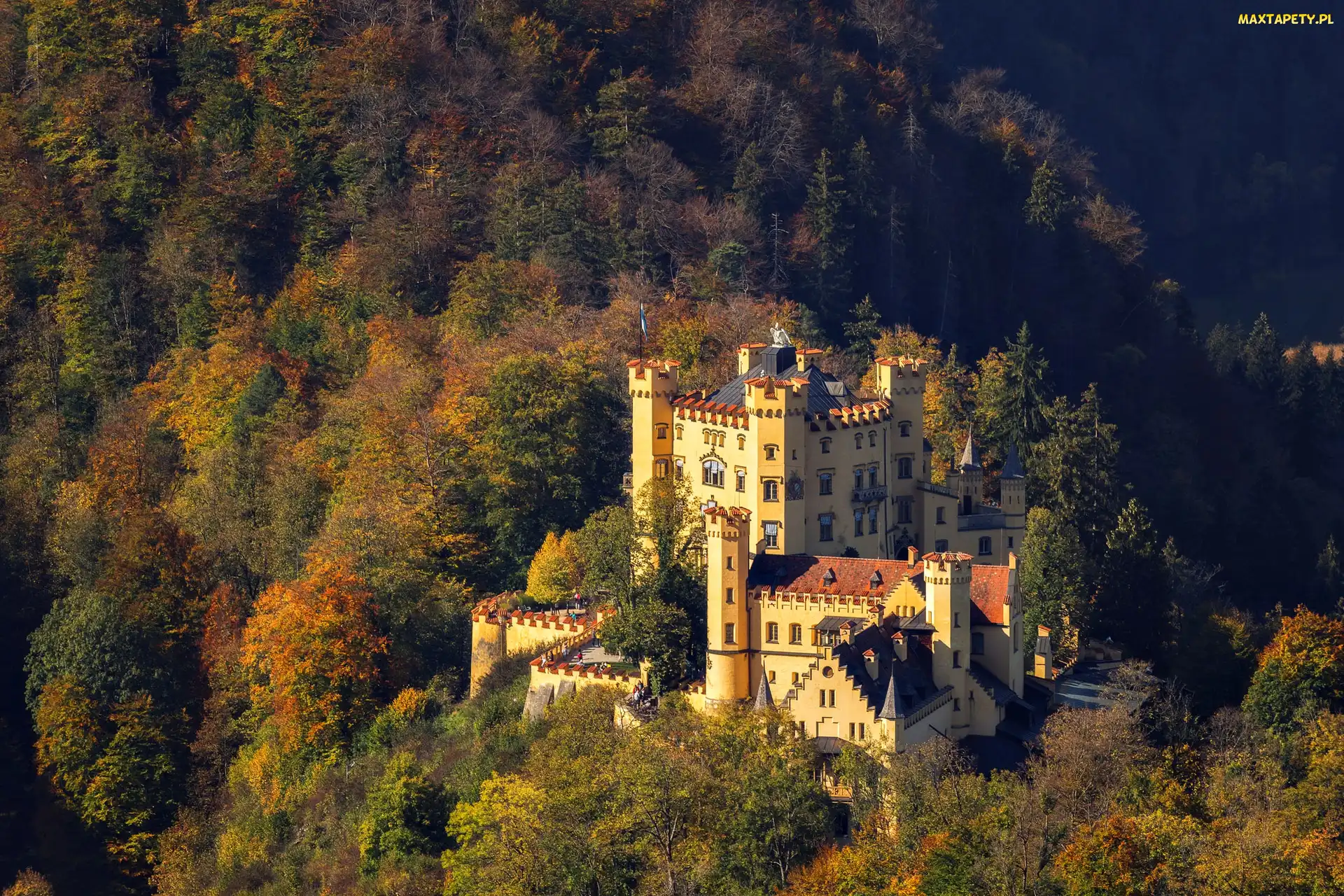 Zamek Hohenschwangau, Las, Bawaria, Bawaria, Niemcy, Gmina Schwangau