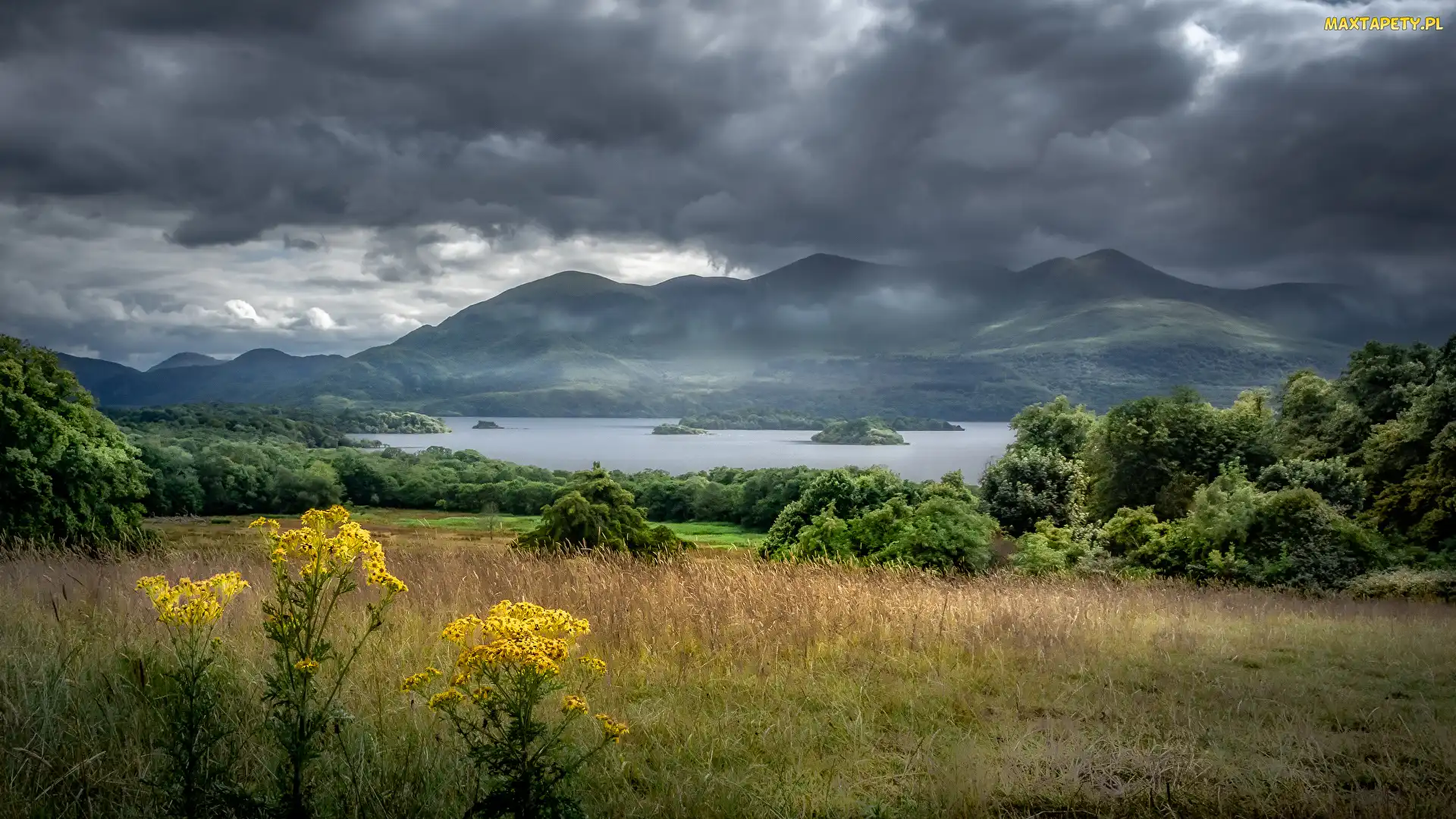 Rośliny, Chmury, Ciemne, Drzewa, Góry, Hrabstwo Kerry, Jezioro, Lough Leane, Irlandia, Park Narodowy Killarney