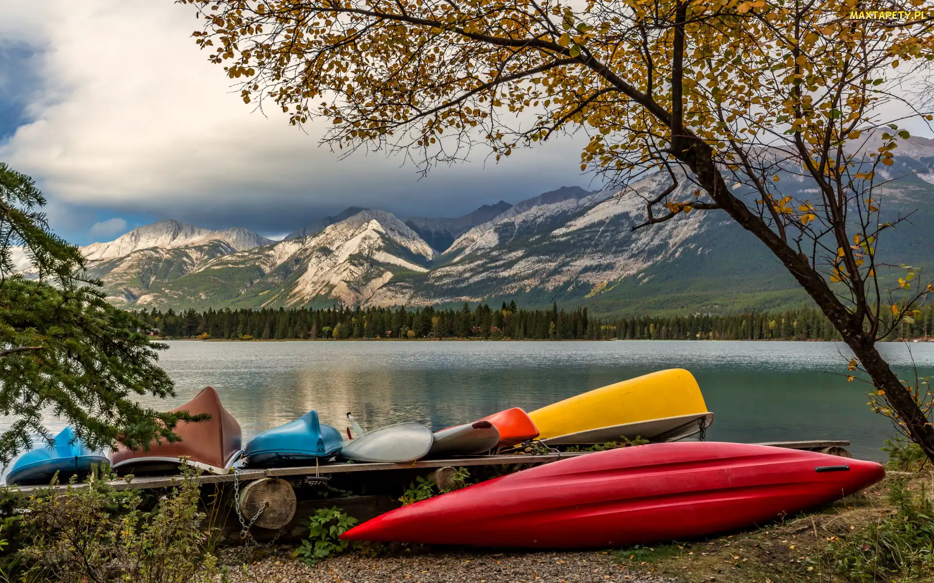 Jezioro, Alberta, Góry, Kanada, Park Narodowy Jasper, Drzewa, Edith Lake, Kolorowe, Kajaki