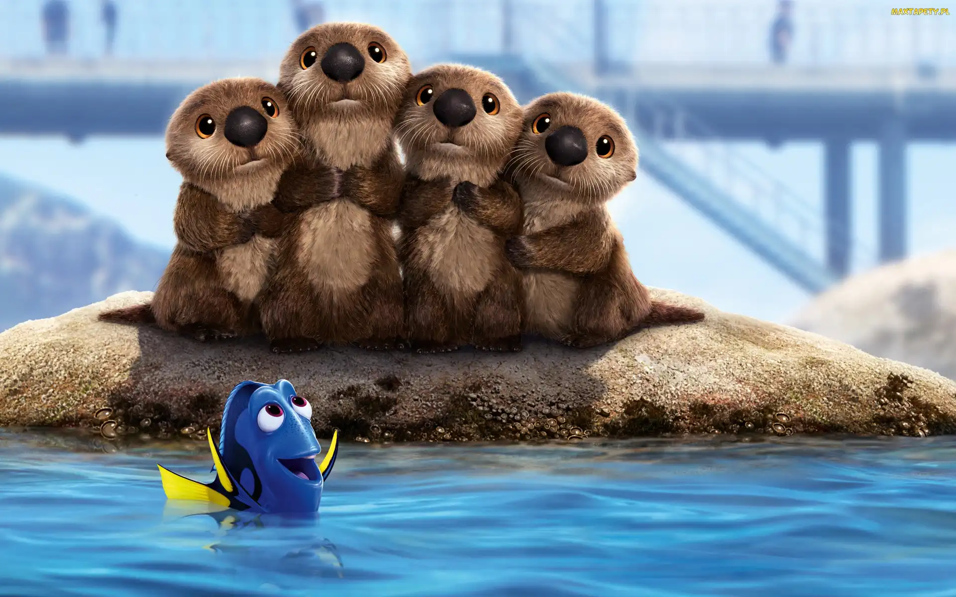 Wydry, Cztery, Bajka, Rybka Dory, Finding Dory, Film animowany, Gdzie jest Dory