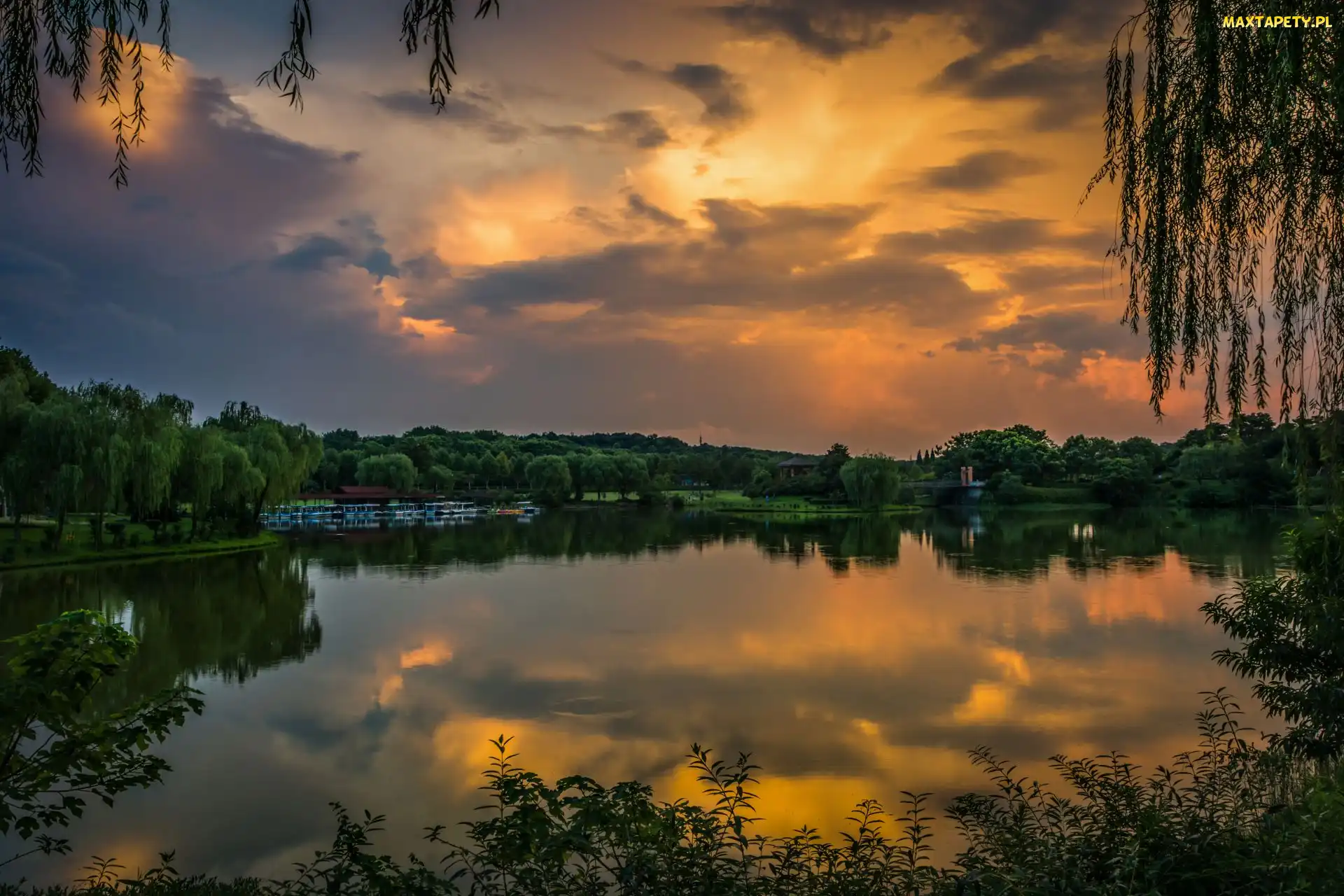Liście, Drzewa, Jezioro, Zachód słońca