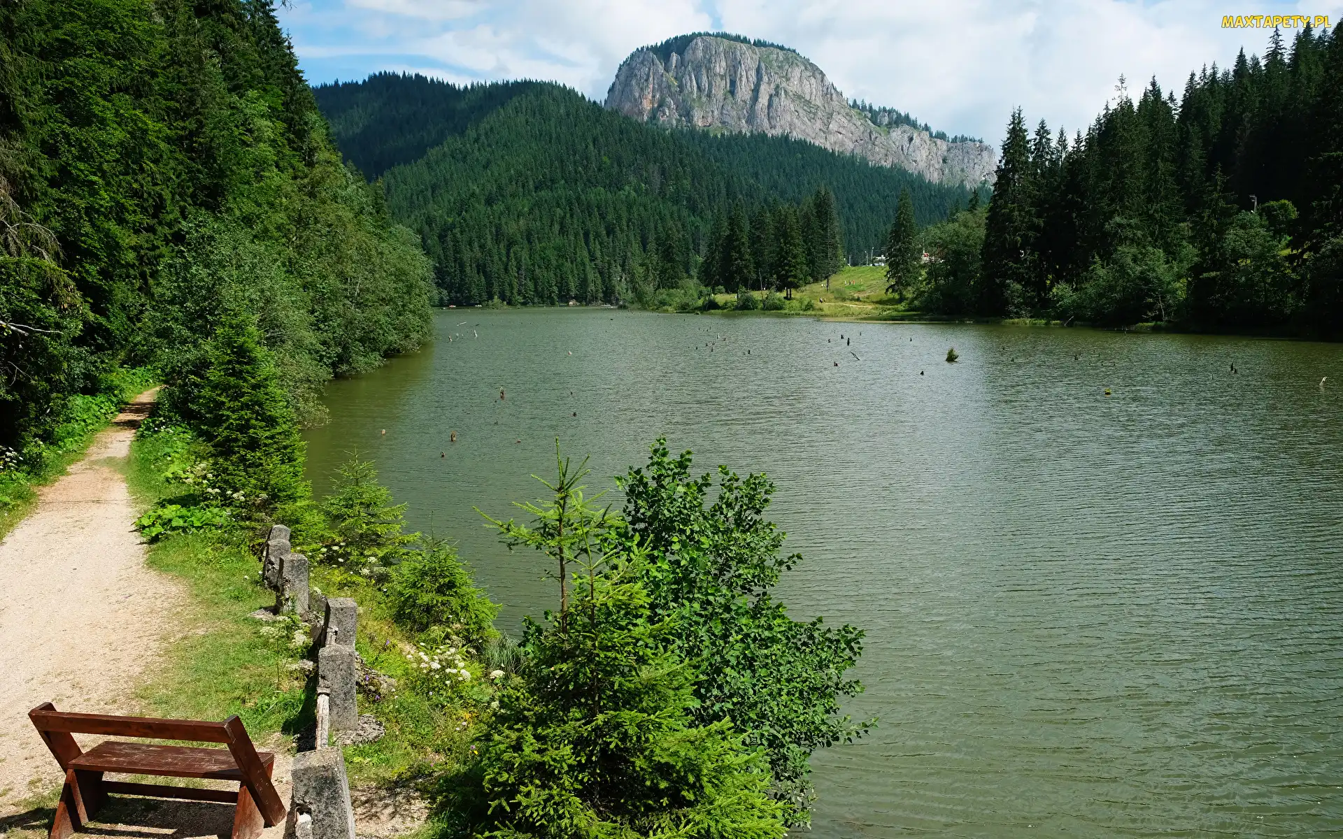 Góry, Ławka, Drzewa, Jezioro, Lasy