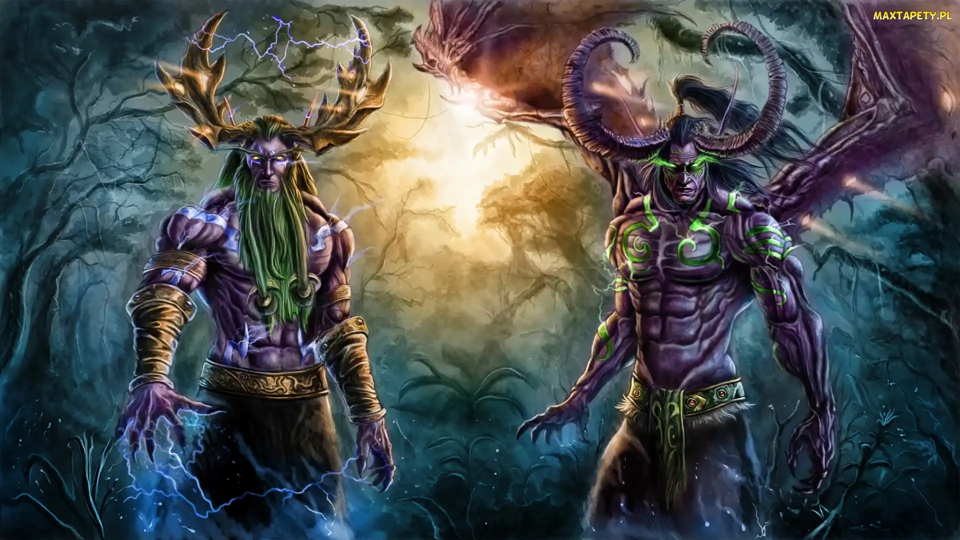 Gra, Illidan Stormrage, Warcraft 3 Reign of Chaos, Malfurion Stormrage, World of Warcraft