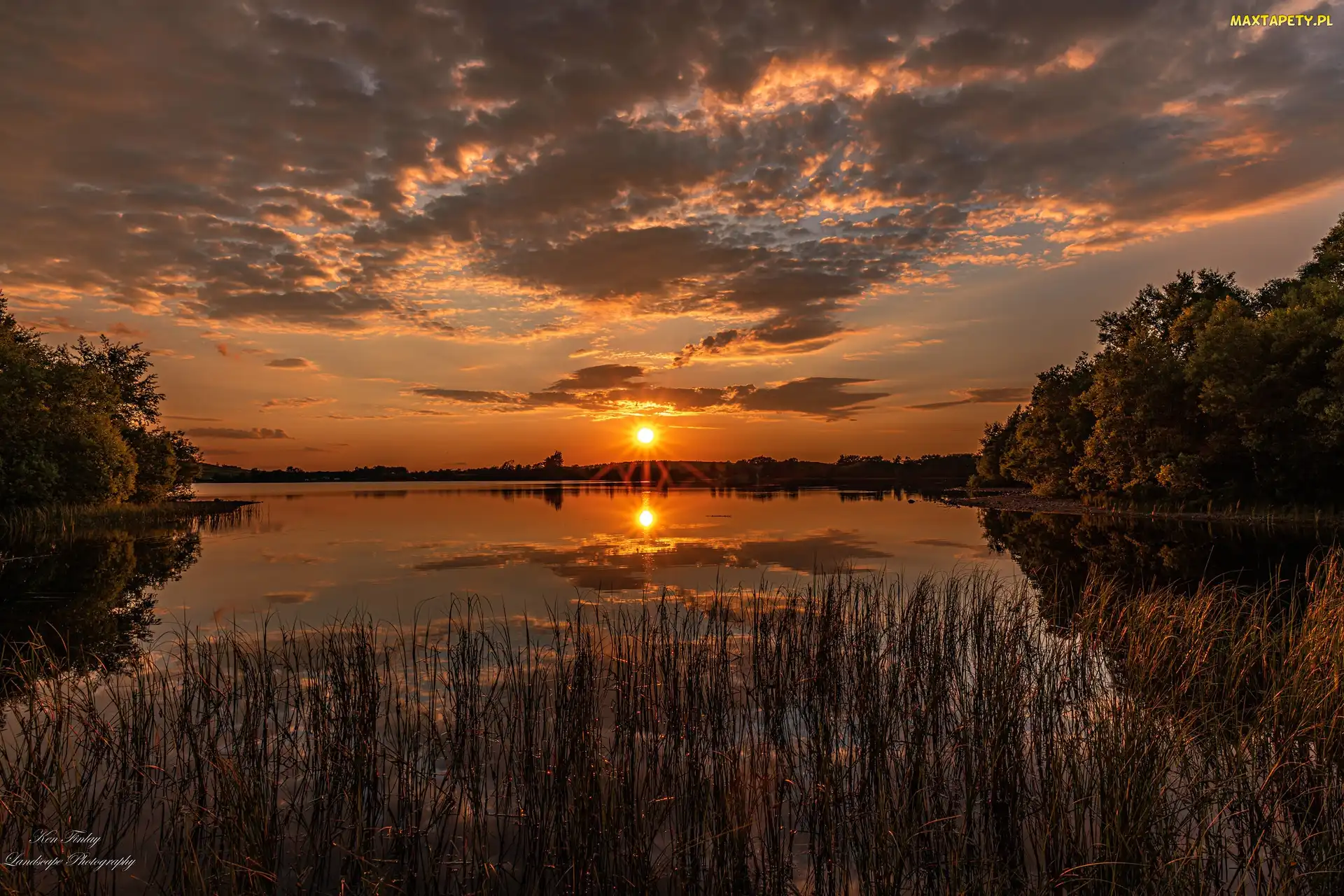 Zachód słońca, Szuwary, Jezioro, Drzewa