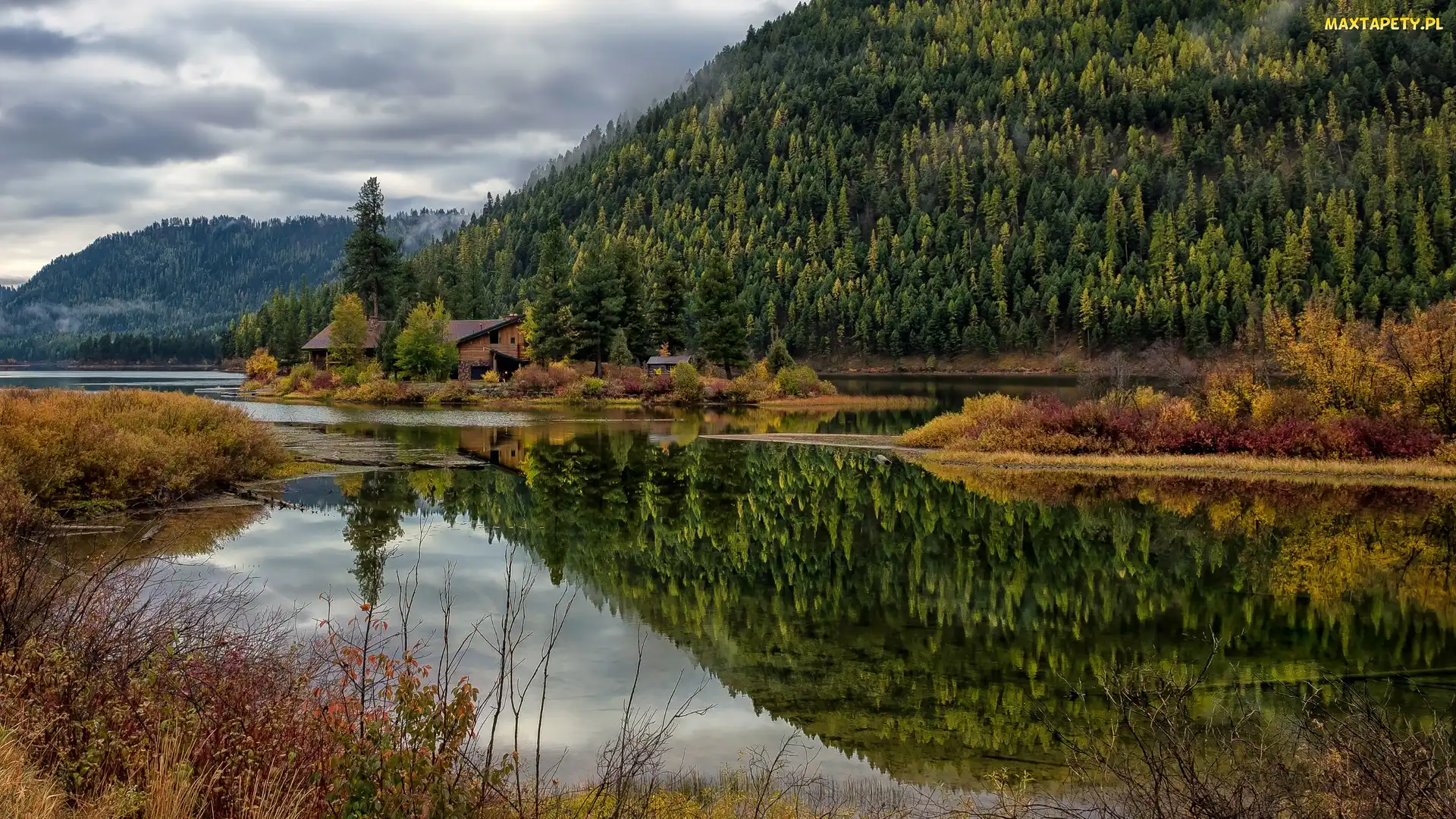 Zalesione, Stan Montana, Jezioro, Stany Zjednoczone, Salmon Lake, Domy, Góry, Las, Drzewa
