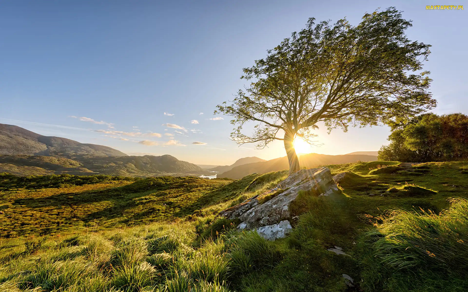 Trawa, Drzewo, Park Narodowy Killarney, Kamienie, Góry, Irlandia, Wschód słońca