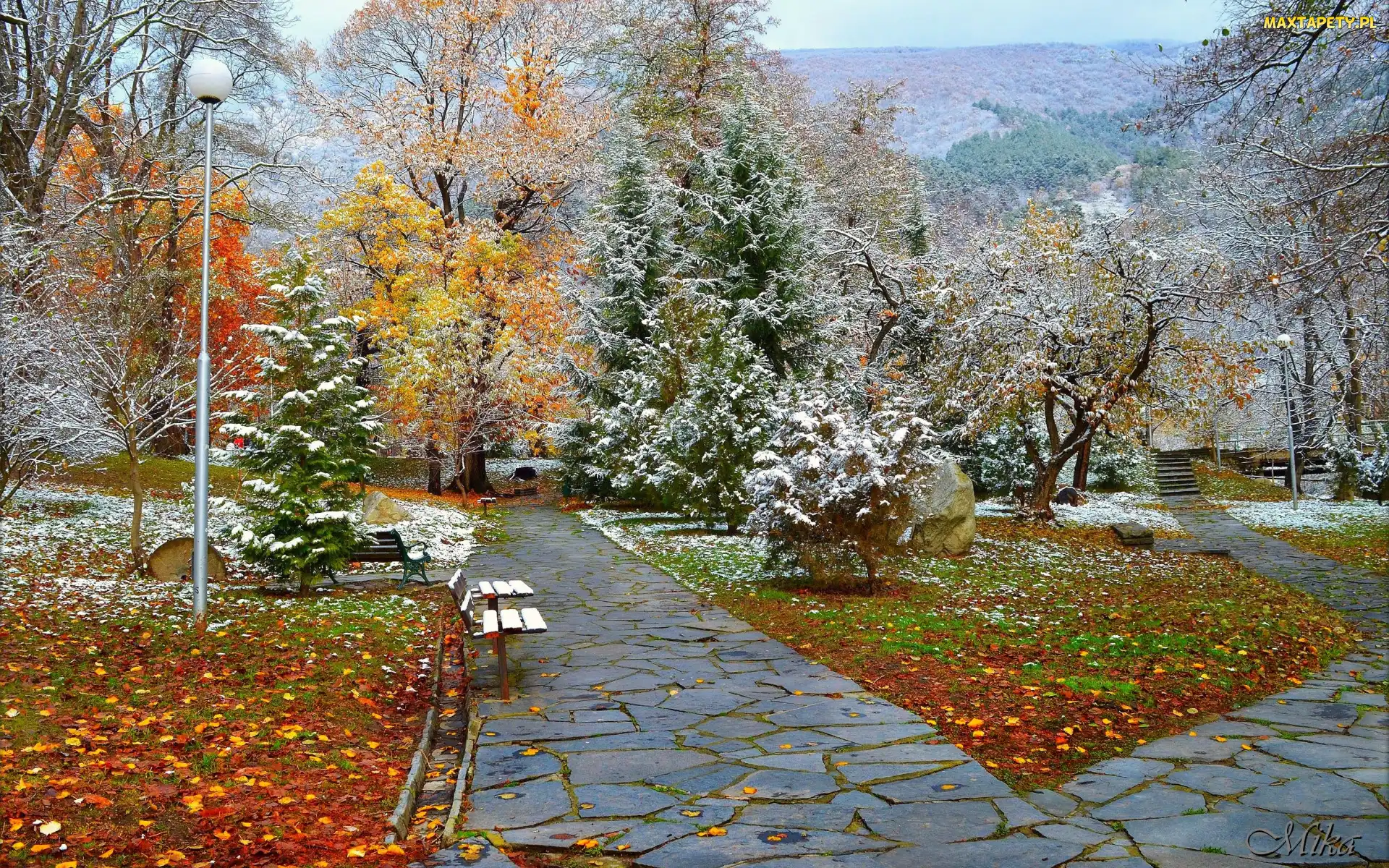 Alejki, Ławki, Jesień, Park, Śnieg, Drzewa