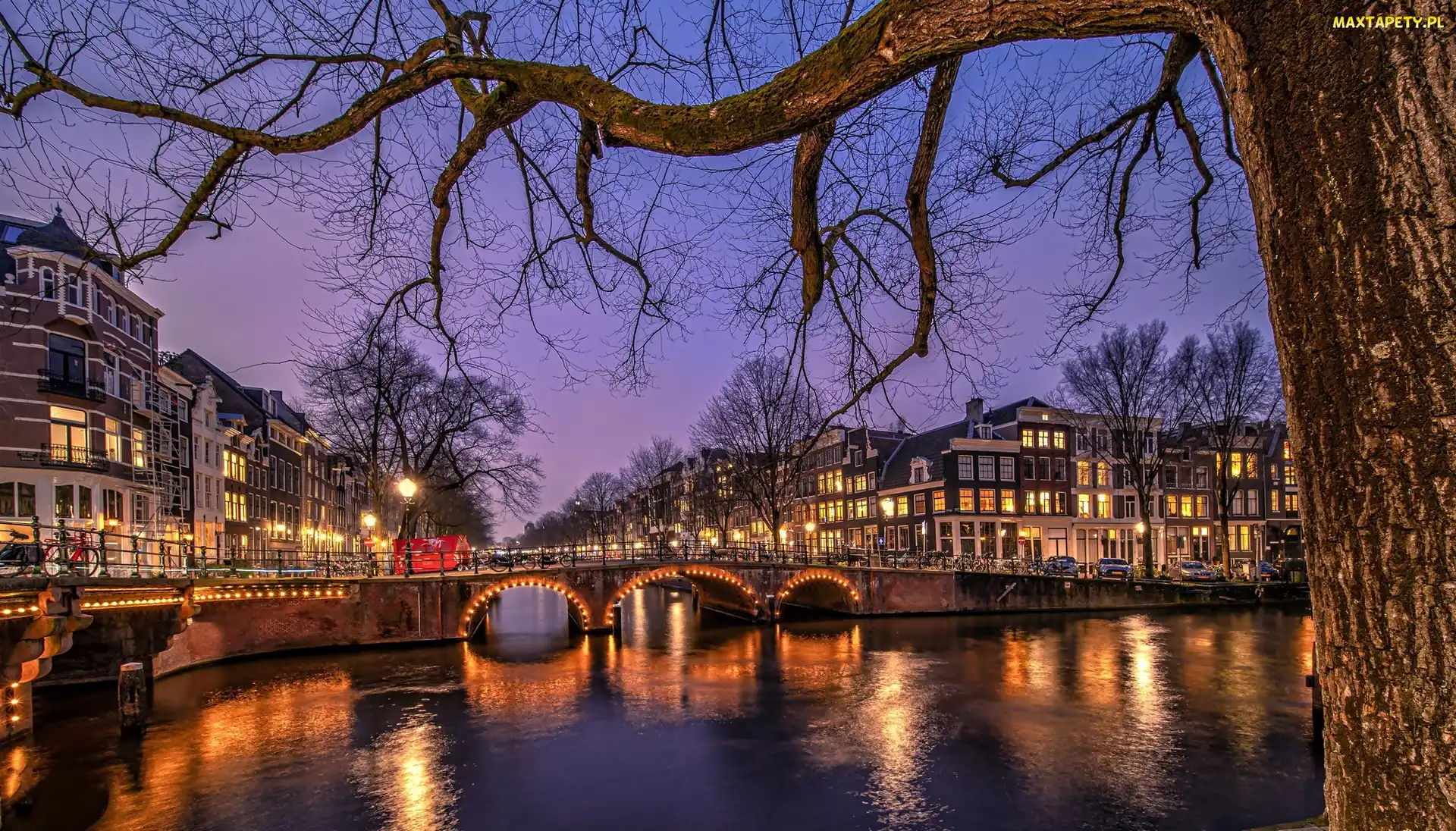 Amsterdam, Drzewa, Holandia, Most, Noc, Kanał, Światła, Domy