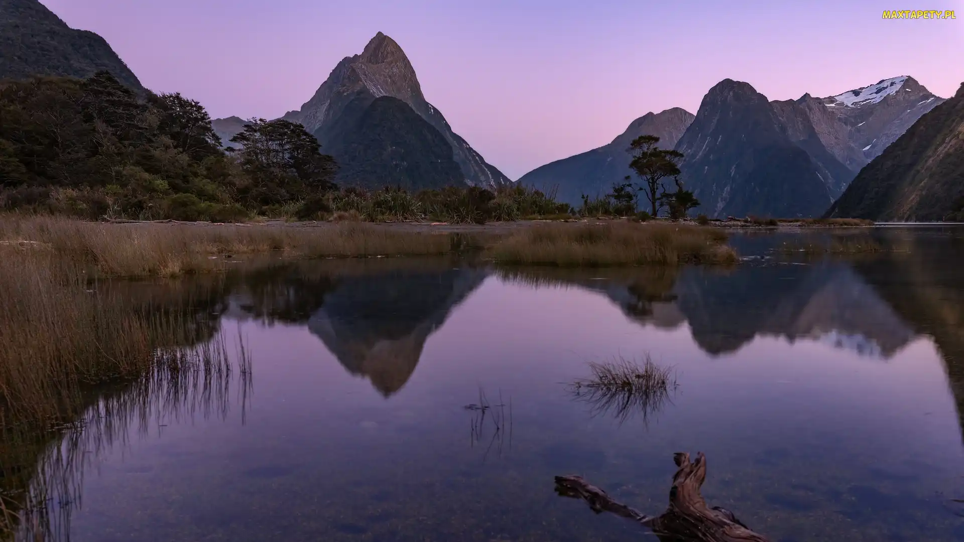 Nowa Zelandia, Park Narodowy Fiordland, Konar, Wyspa Południowa, Góry, Fiord Milford, Alpy Południowe, Góra Mitre Peak, Zatoka Milforda, Odbicie
