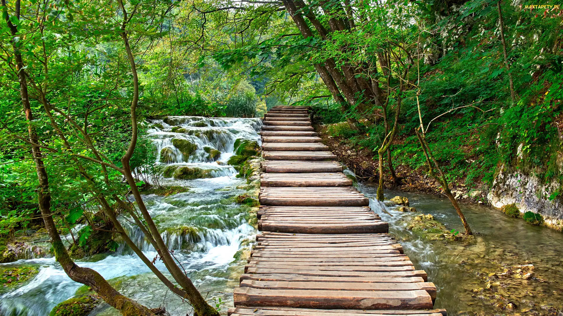 Pomost, Chorwacja, Park Narodowy Jezior Plitwickich, Rzeka, Drzewa