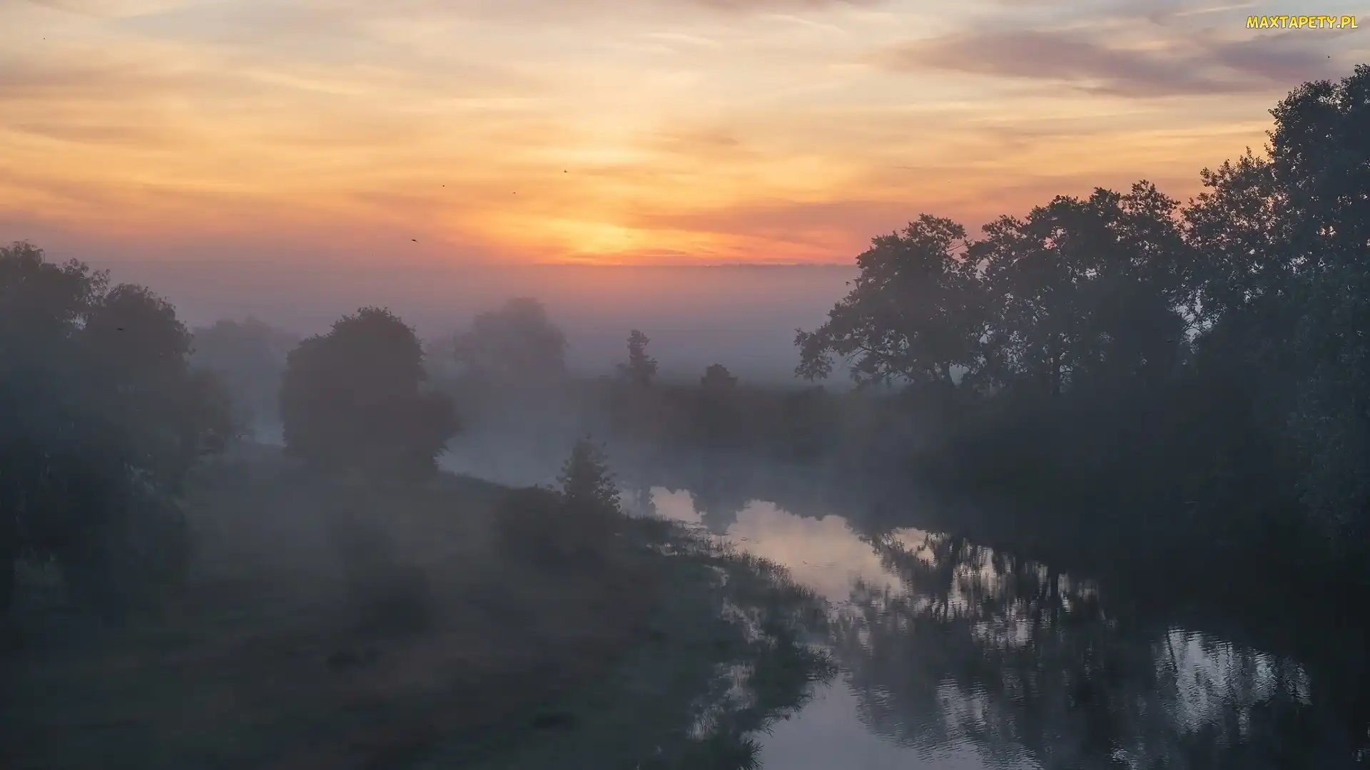 Rzeka, Wschód słońca, Mgła, Poranek, Drzewa