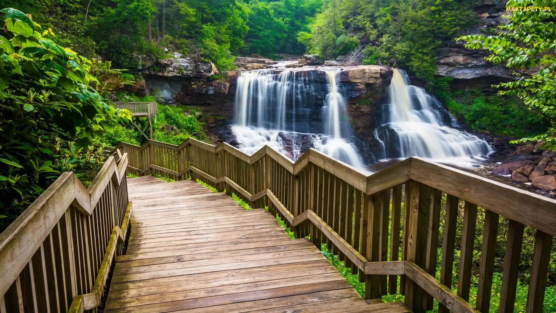 Drzewa, Las, Wirginia Zachodnia, Schody, Wodospad Blackwater Falls, Stany Zjednoczone, Park stanowy Blackwater Falls
