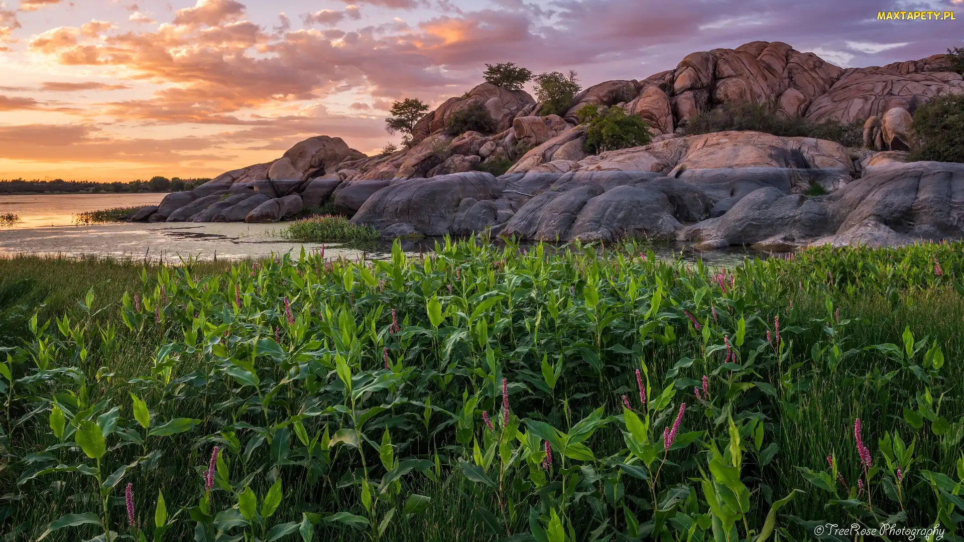 Jezioro, Arizona, Zachód słońca, Stany Zjednoczone, Prescott, Drzewa, Willow Lake, Skały, Roślinność