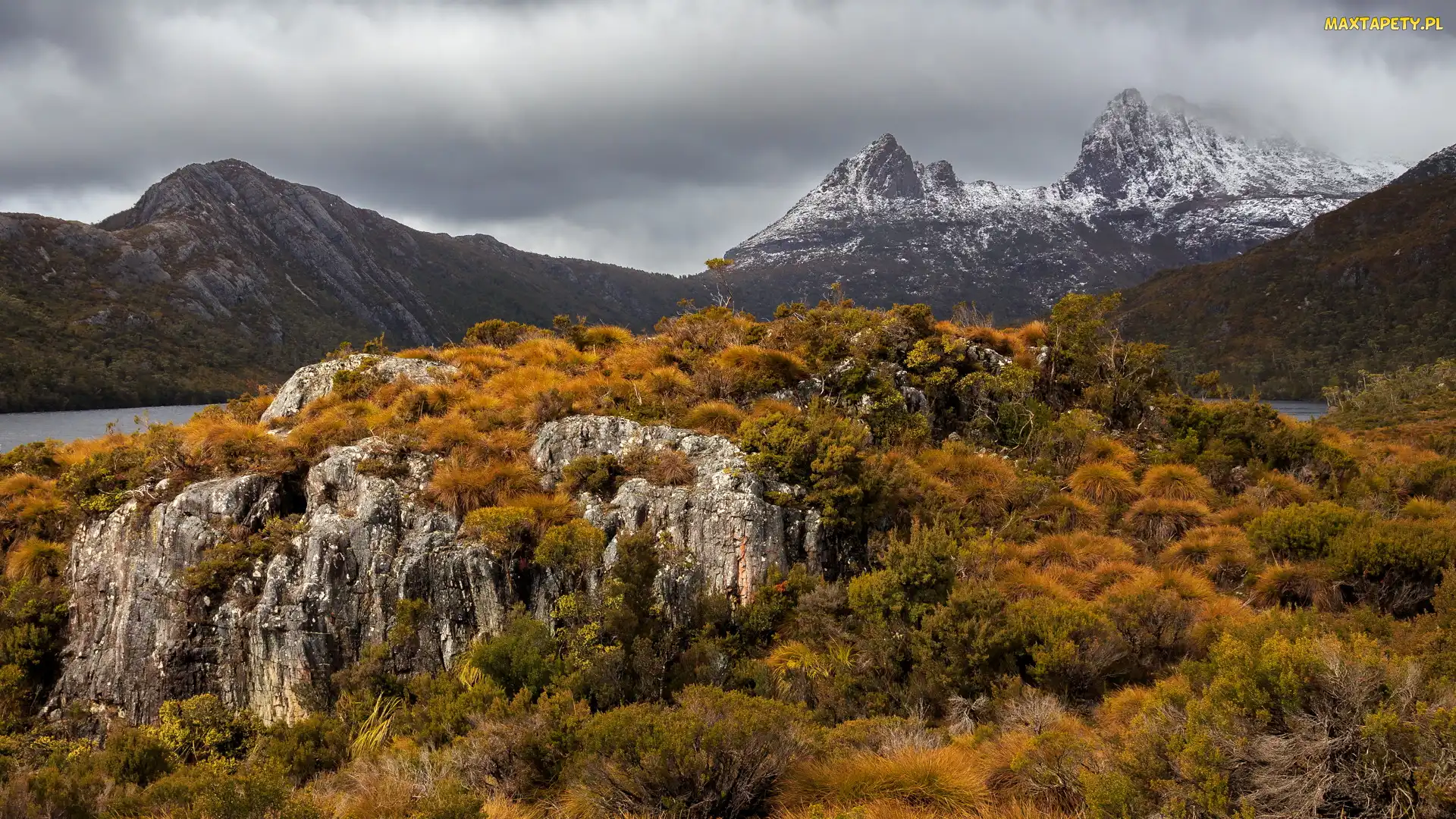 Cradle Mountain, Drzewa, Góry, Skały, Tasmania, Park Narodowy Cradle Mountain Lake St Clair, Australia, Jesień