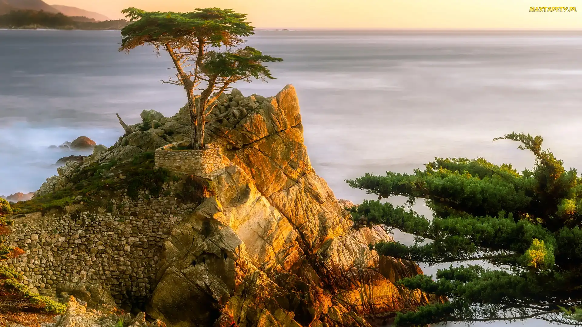 Stany Zjednoczone, Morze, Zatoka Carmel Bay, Kalifornia, Lone Cypress, Atrakcja, Skała, Morze, Cyprys wielkoszyszkowy, Pebble Beach