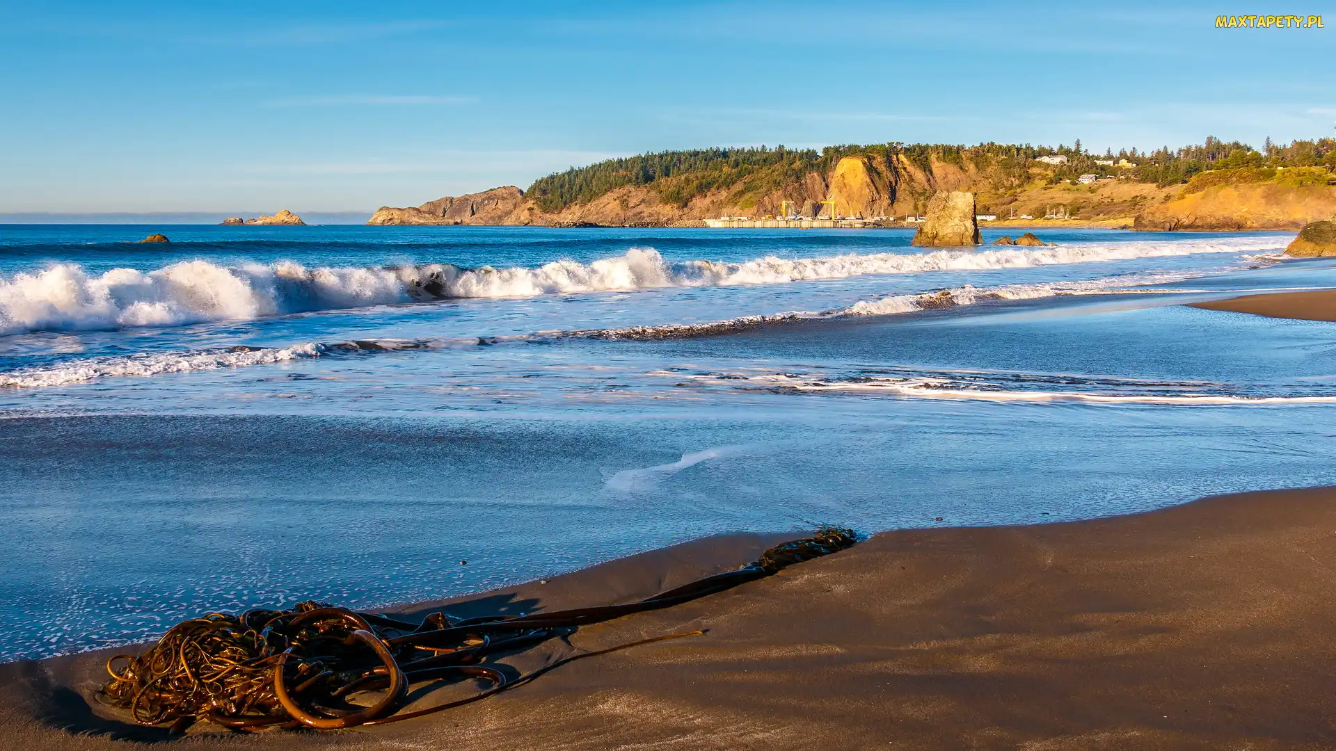 Stany Zjednoczone, Stan Oregon, Fale, Morze, Skały, Port Orford