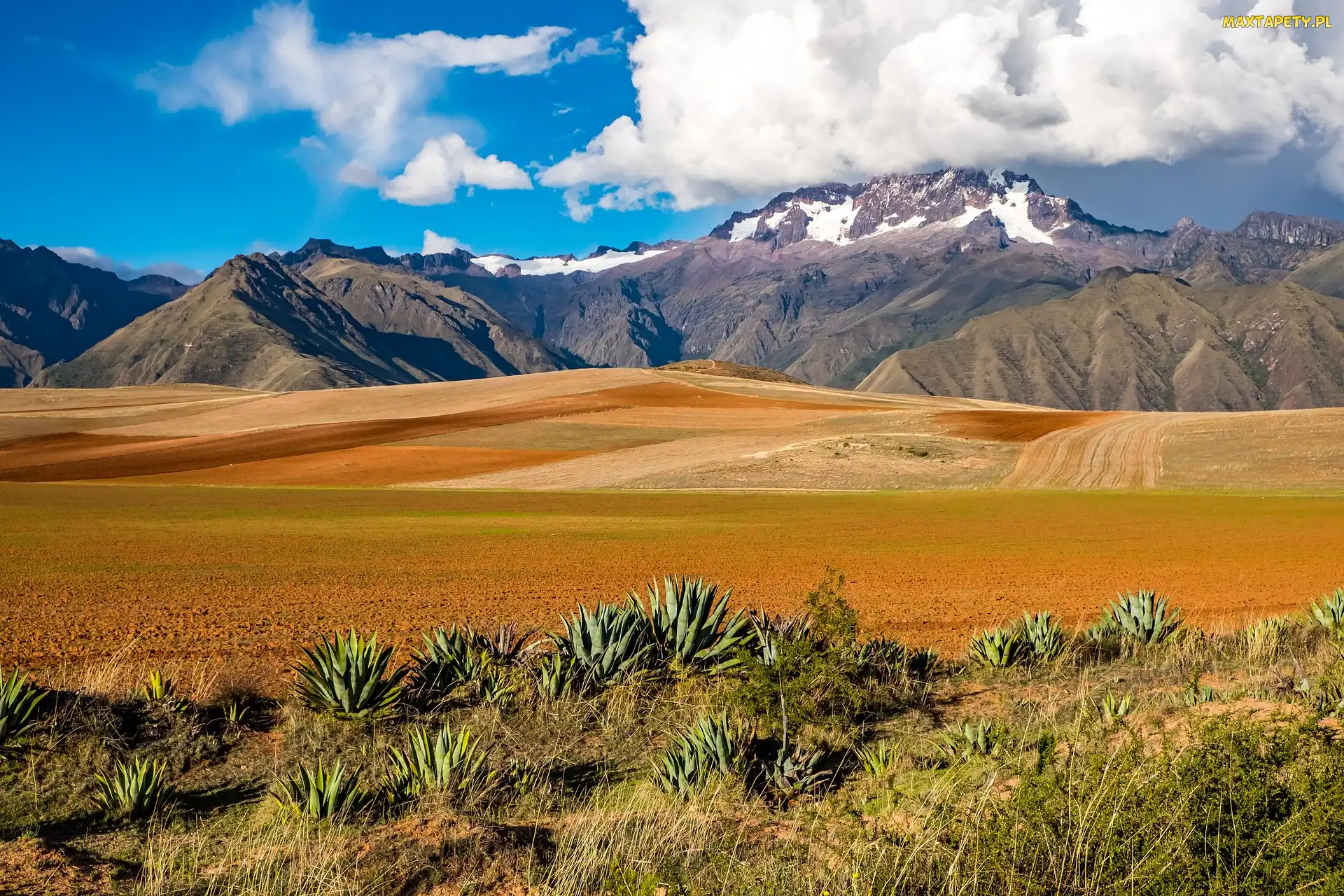 Boliwia, Góra, Granica, Region Cuzco, Peru