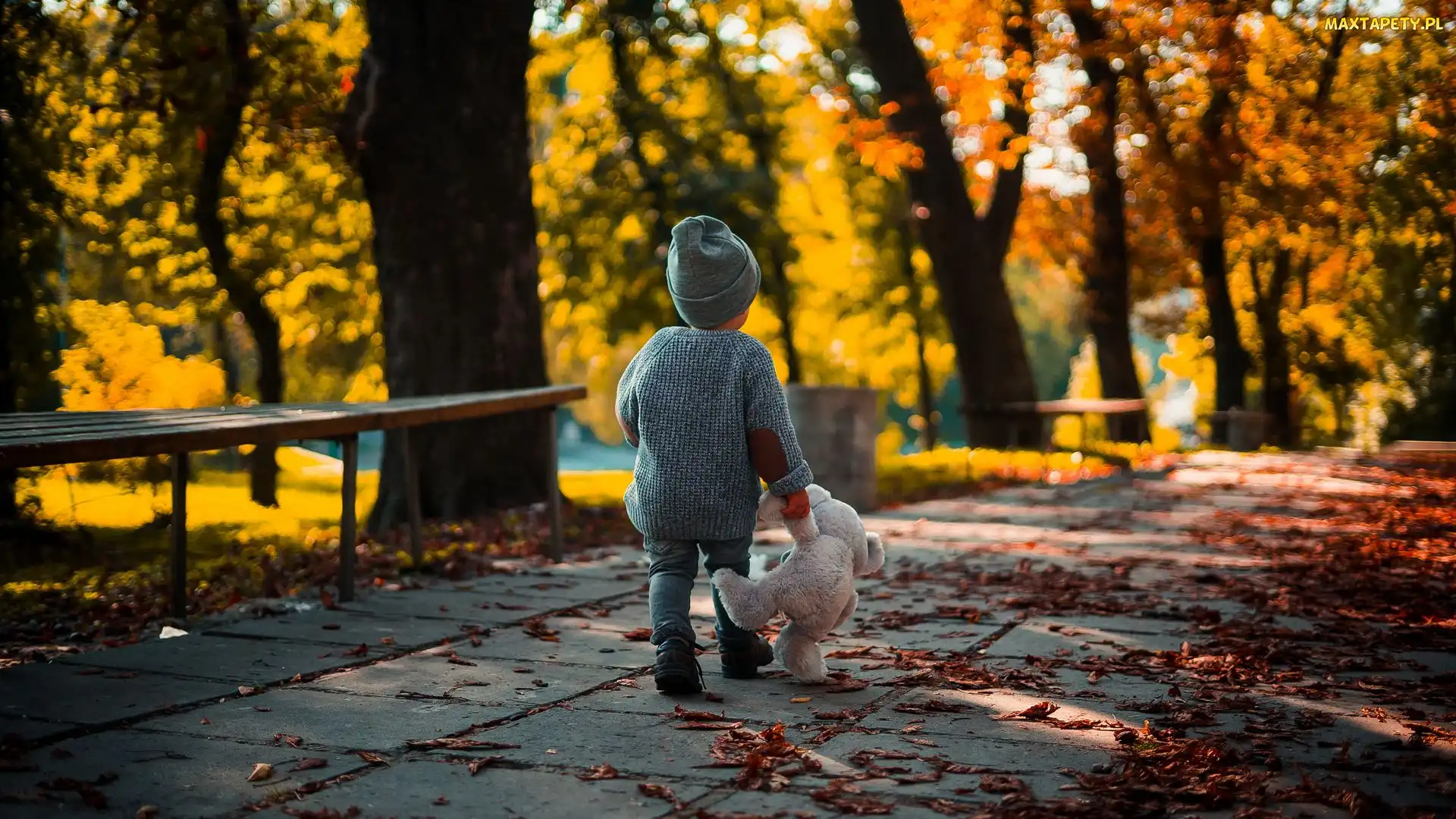 Chodnik, Miś, Zabawka, Dziecko, Park