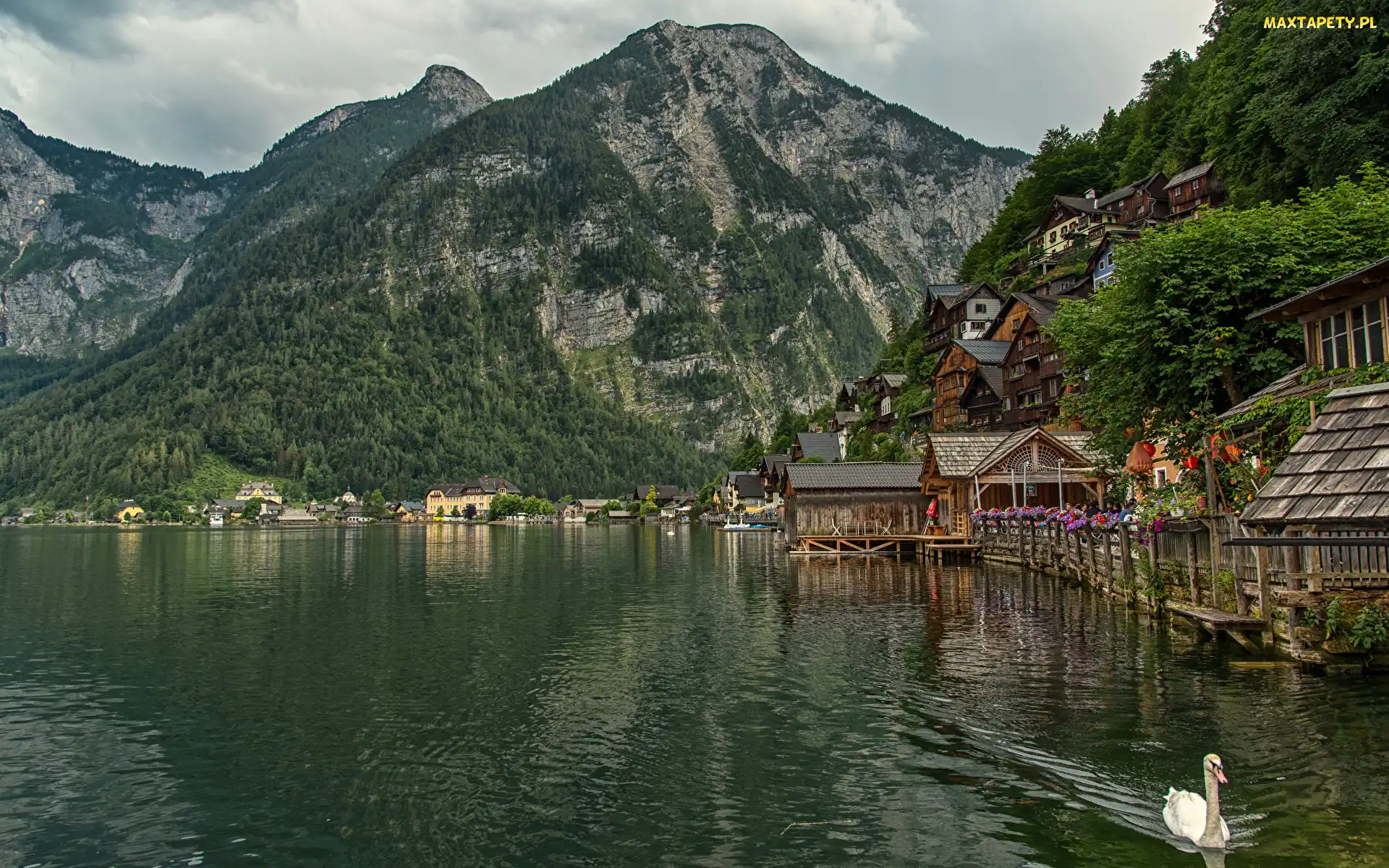 Góry, Miasteczko, Austria, Łabędź, Jezioro Hallstattersee, Alpy Salzburskie, Domy, Hallstatt