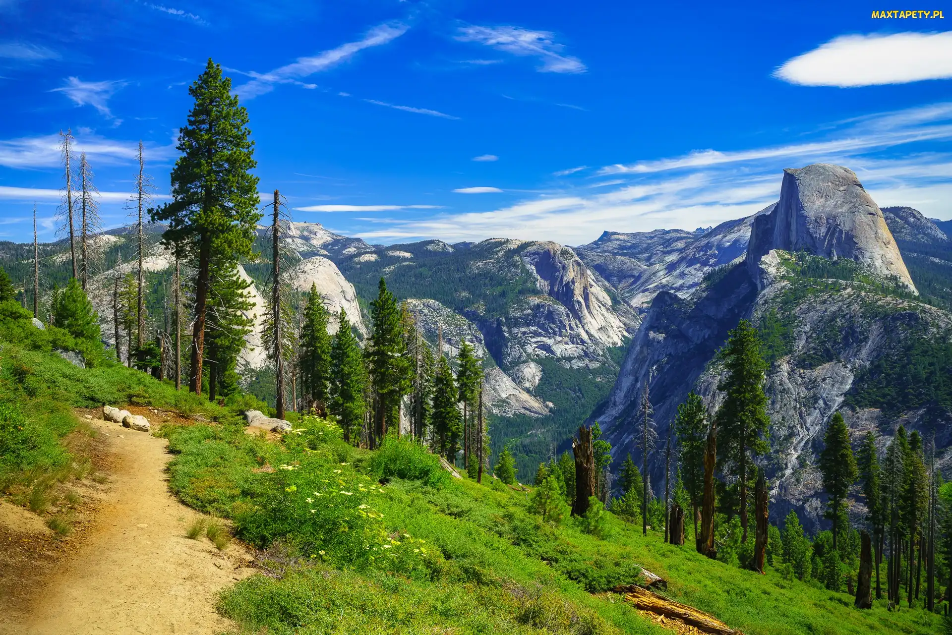Kalifornia, Drzewa, Sierra Nevada, Stany Zjednoczone, Ścieżka, Góry, Park Narodowy Yosemite