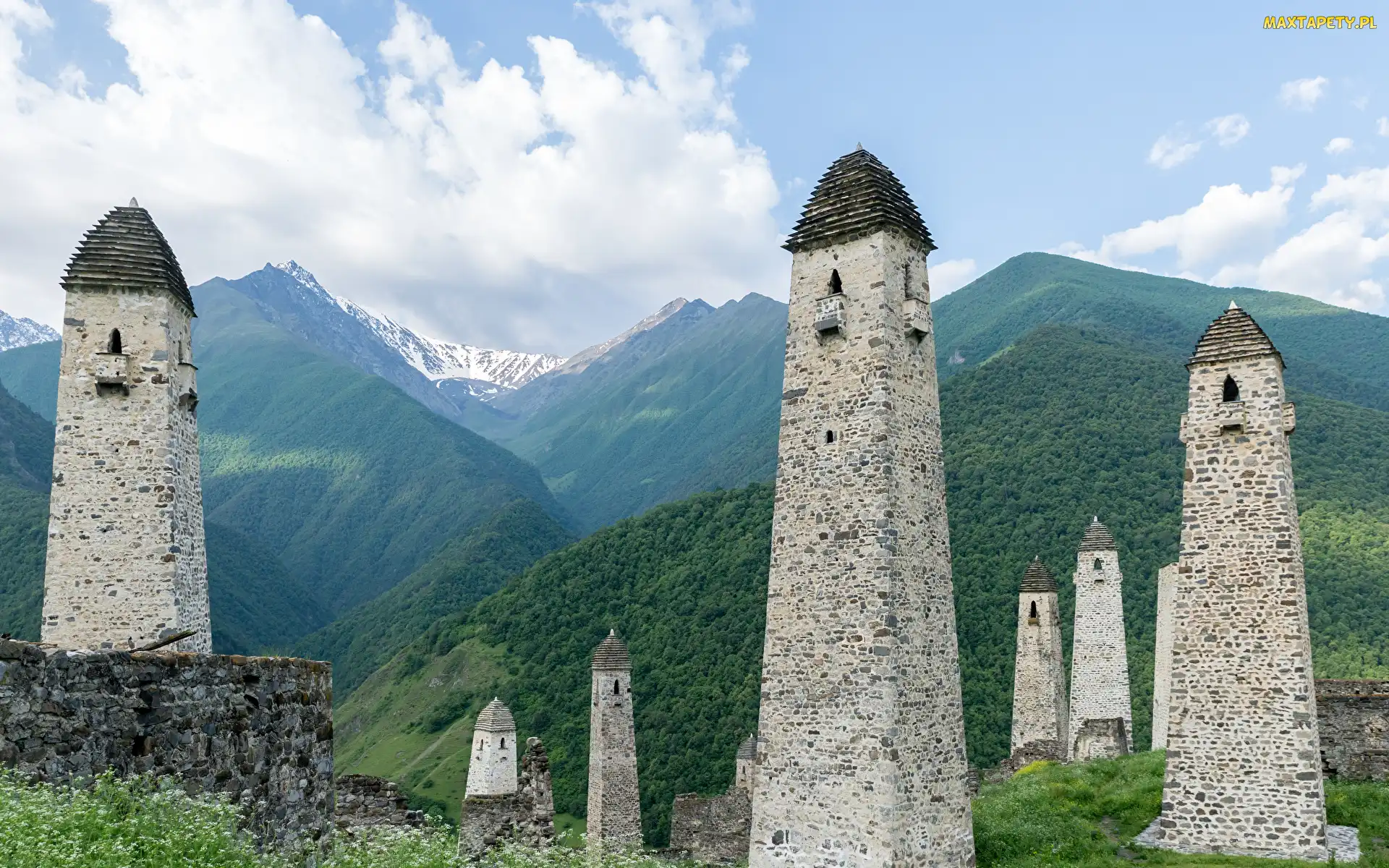 Erzi, Drzewa, Wieże obronne, Rosja, Góry, Ruiny, Inguszetia, Kaukaz, Skały