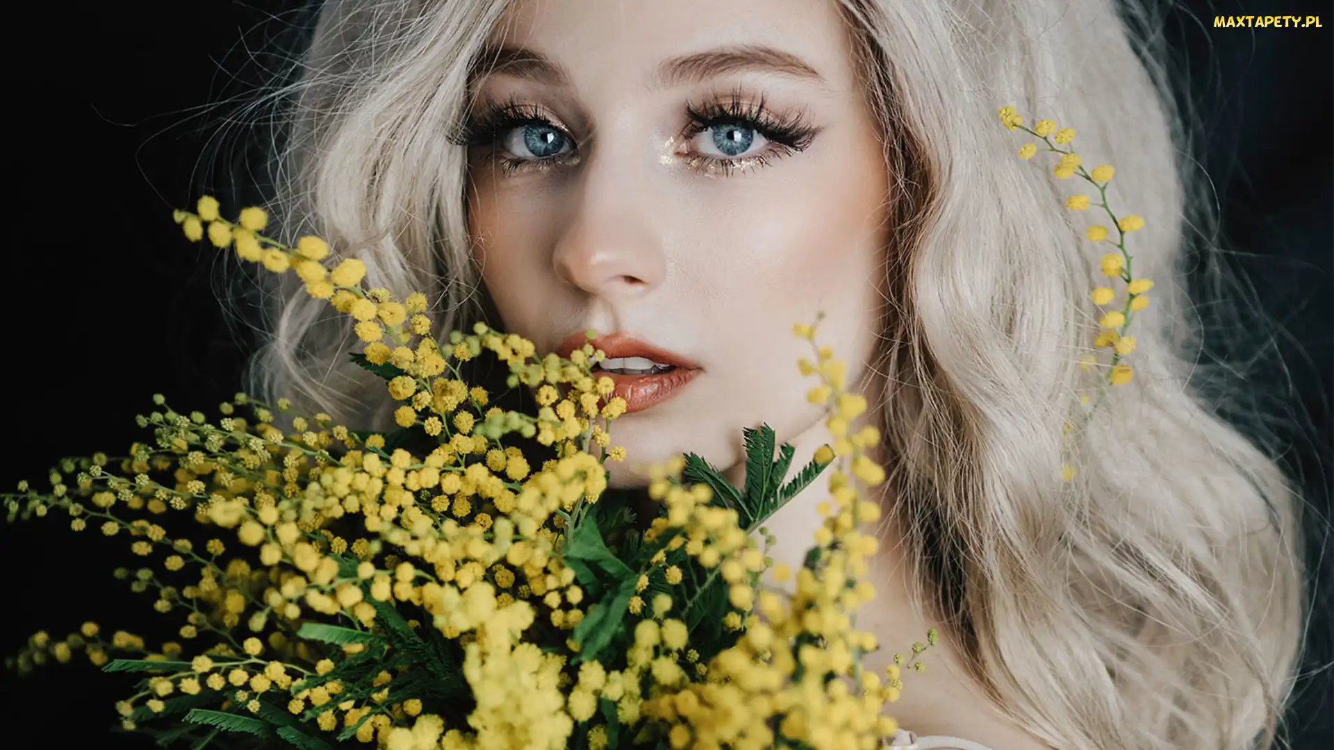 Blondynka, Akacja srebrzysta, Kobieta