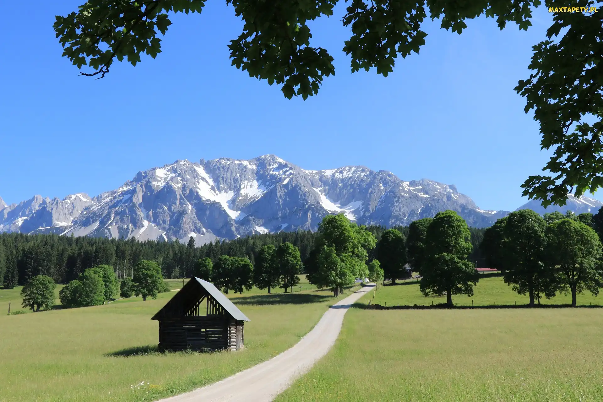 Styria, Szopa, Alpy Salzburskie, Austria, Drzewa, Góry Dachstein, Droga