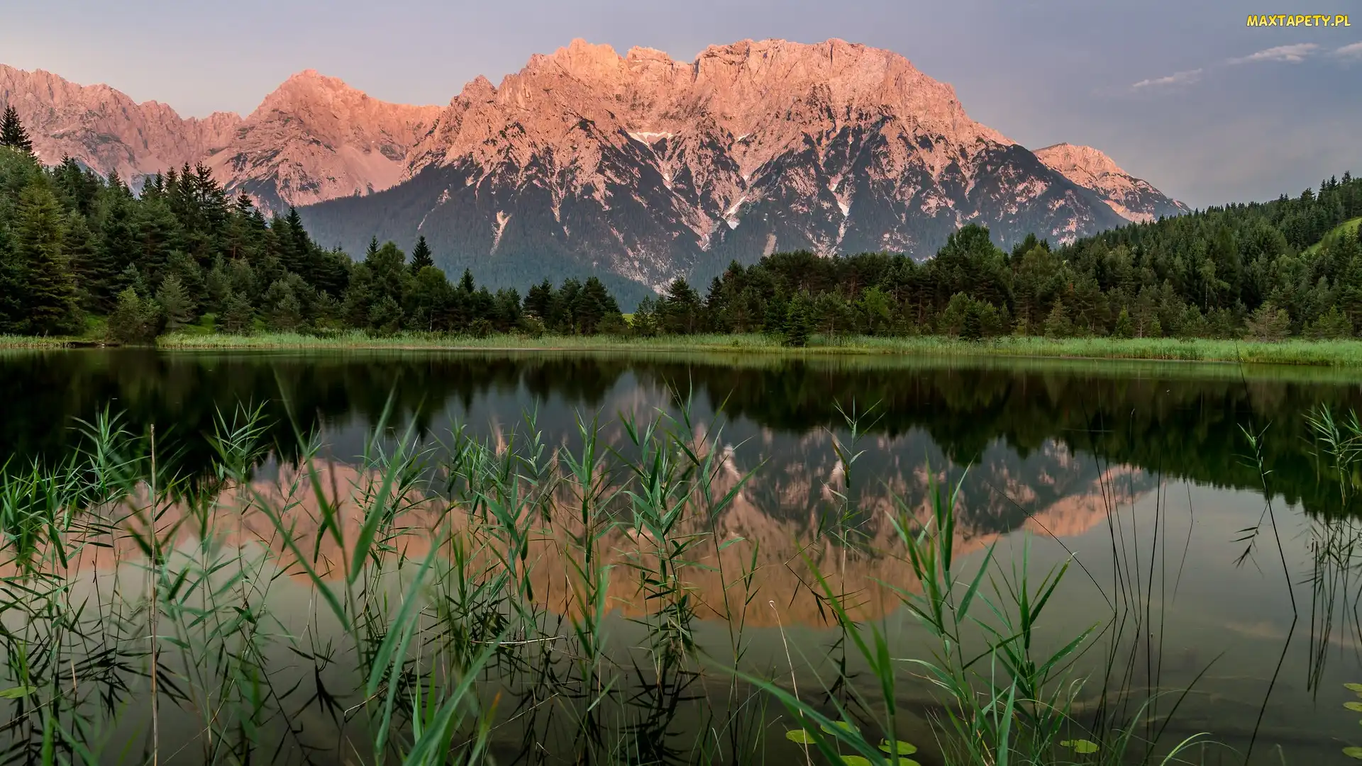 Trawy, Drzewa, Góry, Jezioro