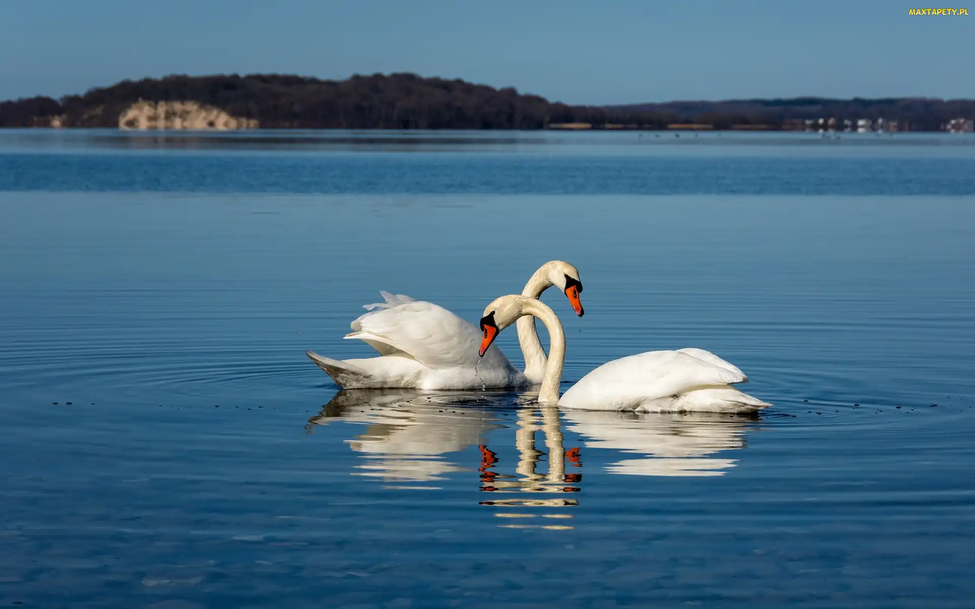 Łabędzie, Jezioro, Dwa