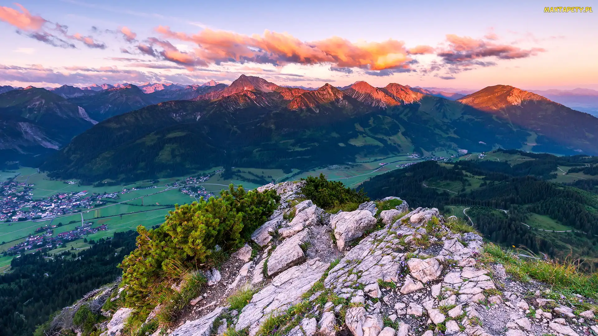 Alpy Algawskie, Skała, Góry, Tannheimer Valley, Tannheim, Dolina, Austria, Rośliny