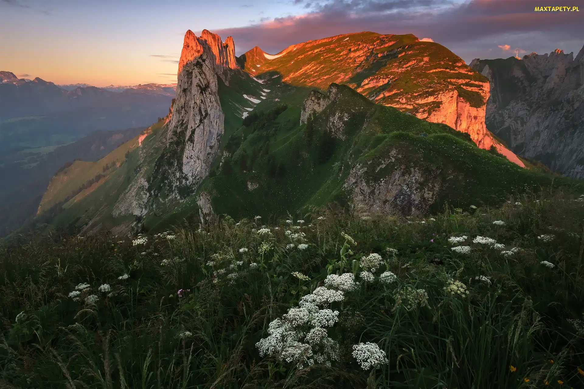 Alpy, Góry, Szwajcaria, Rozświetlony, Szczyt, Łąka, Appenzeller Alpen