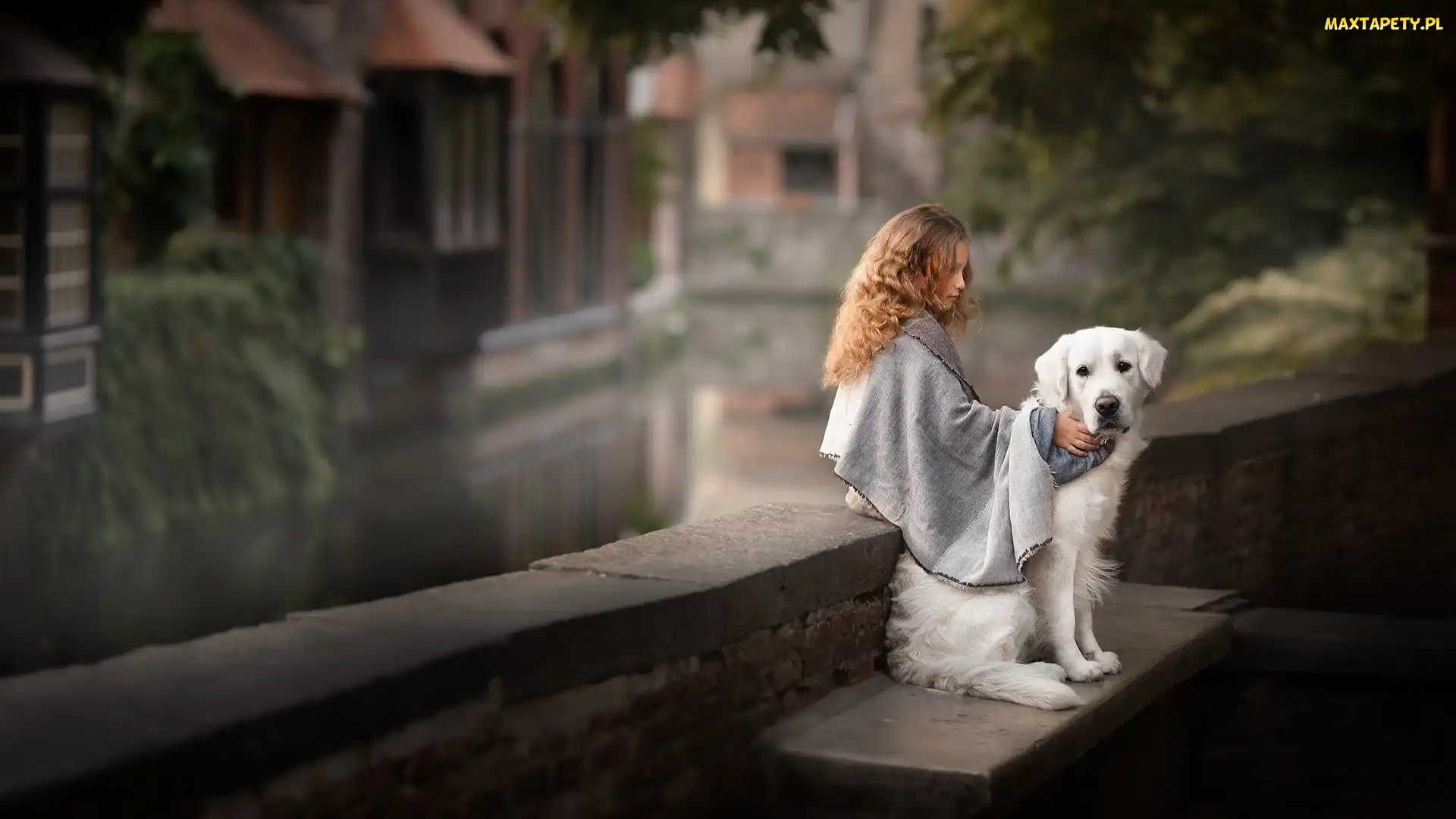 Murek, Golden retriever, Dziewczynka, Pies