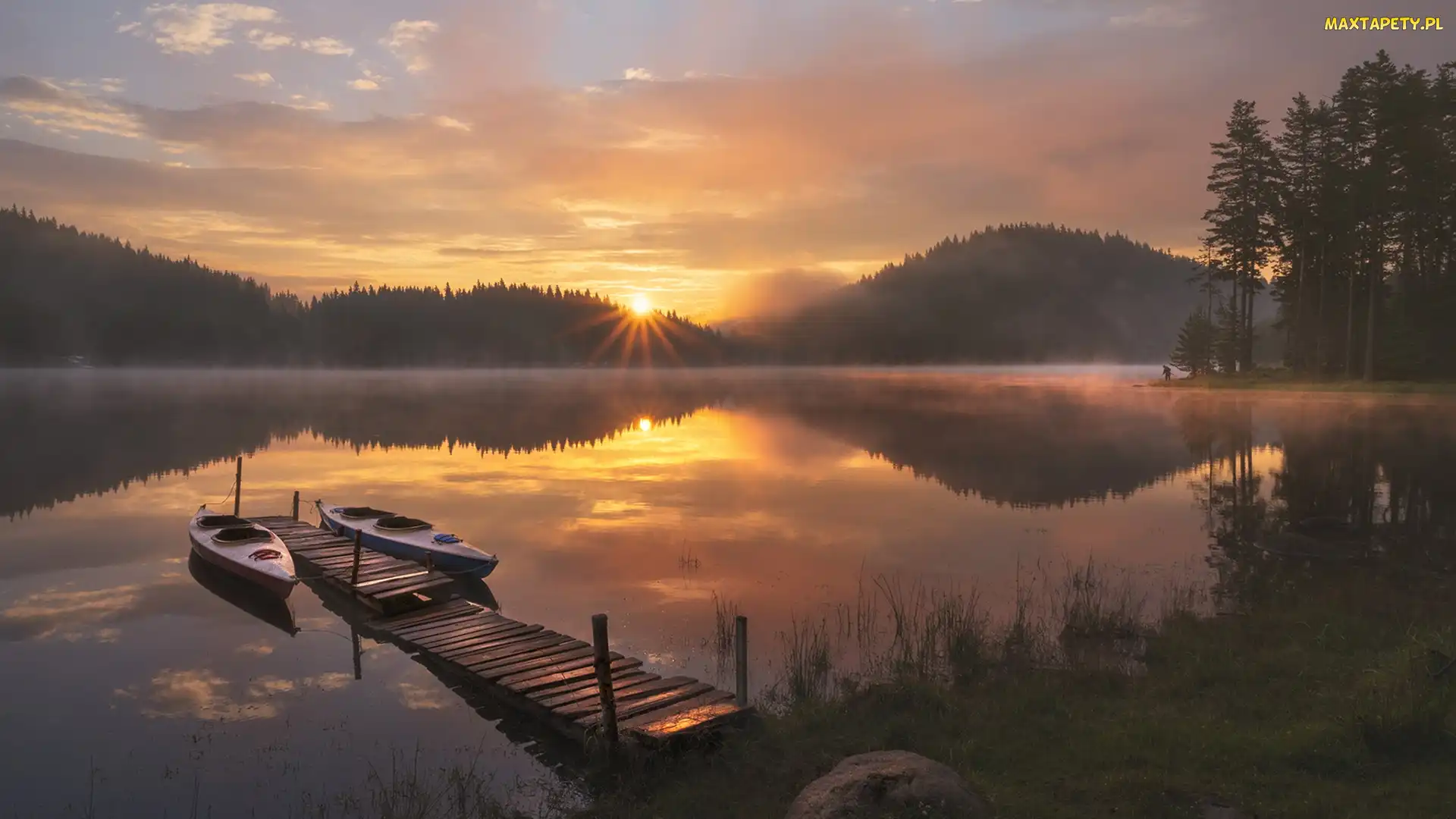 Mgła, Drzewa, Pomost, Wschód słońca, Las, Jezioro, Kajaki