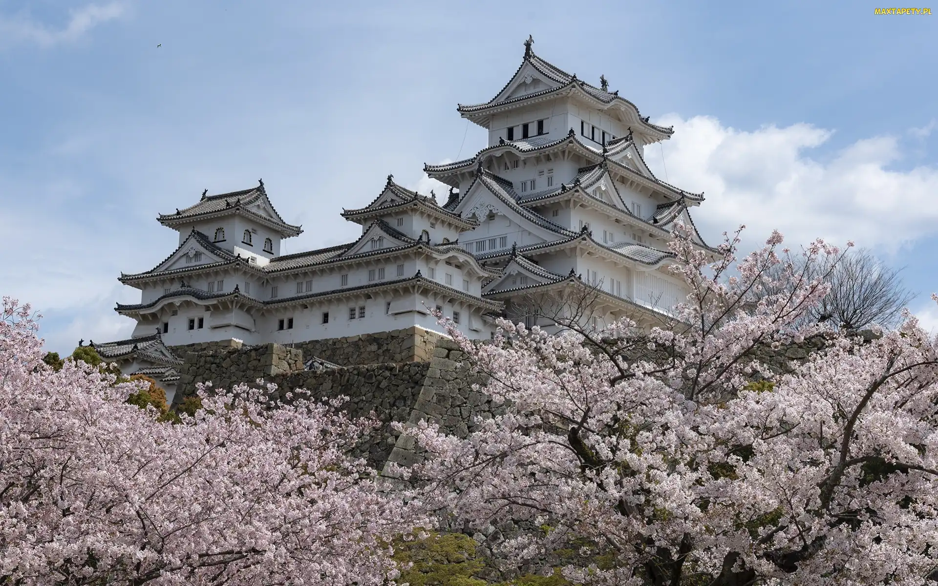 Japonia, Miejscowość Himeji, Zamek Białej Czapli, Zamek Himeji, Kwitnące, Drzewa