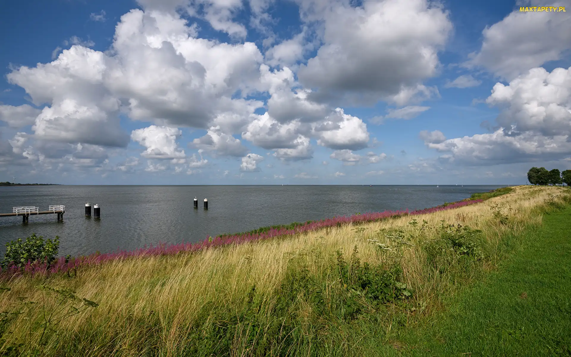 Jezioro, Łąka, Chmury, Trawa, Niebo