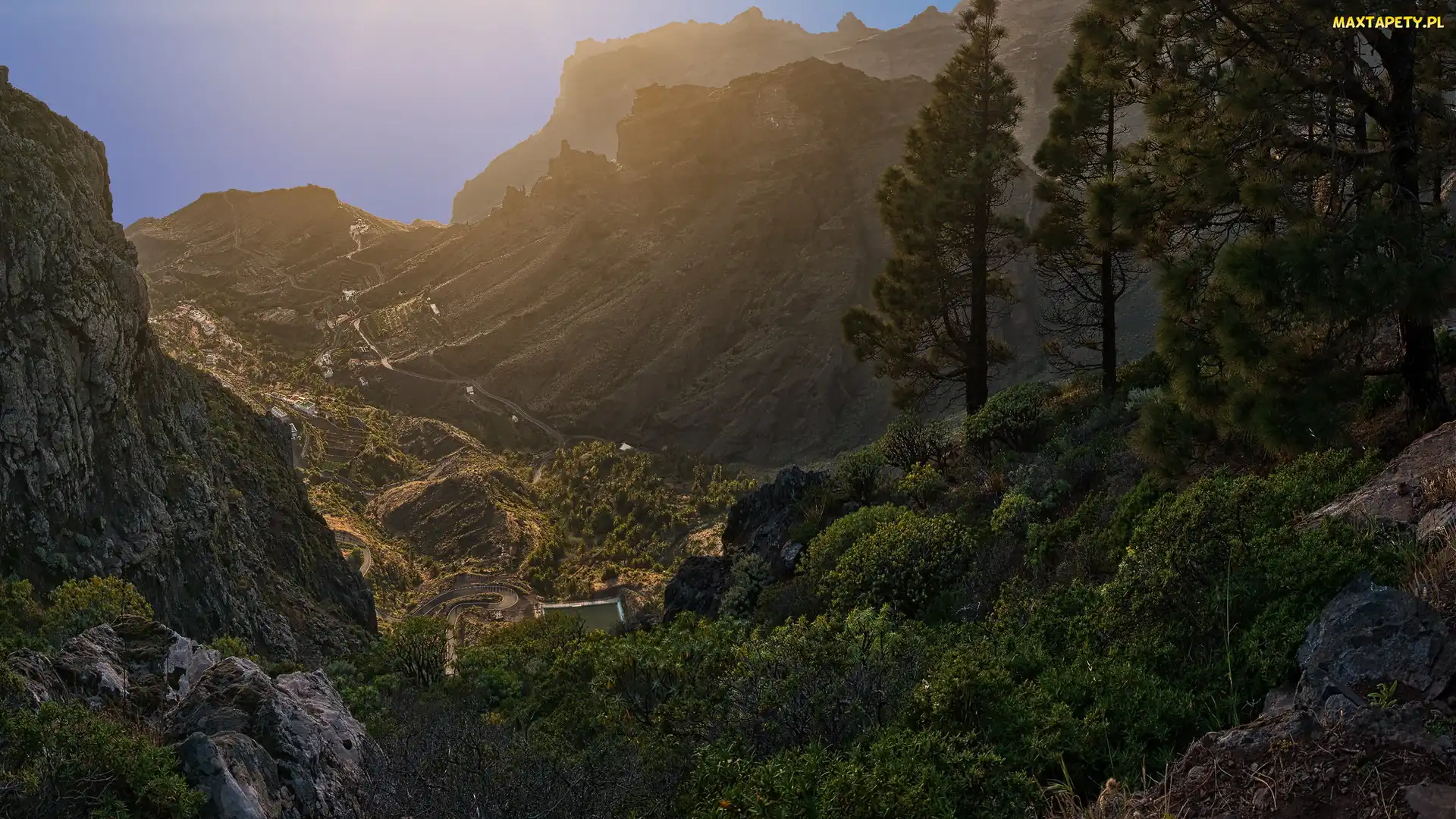 Drzewa, Góry, Hiszpania, Osada Taguluche, Gomera, Wyspy Kanaryjskie, Dolina