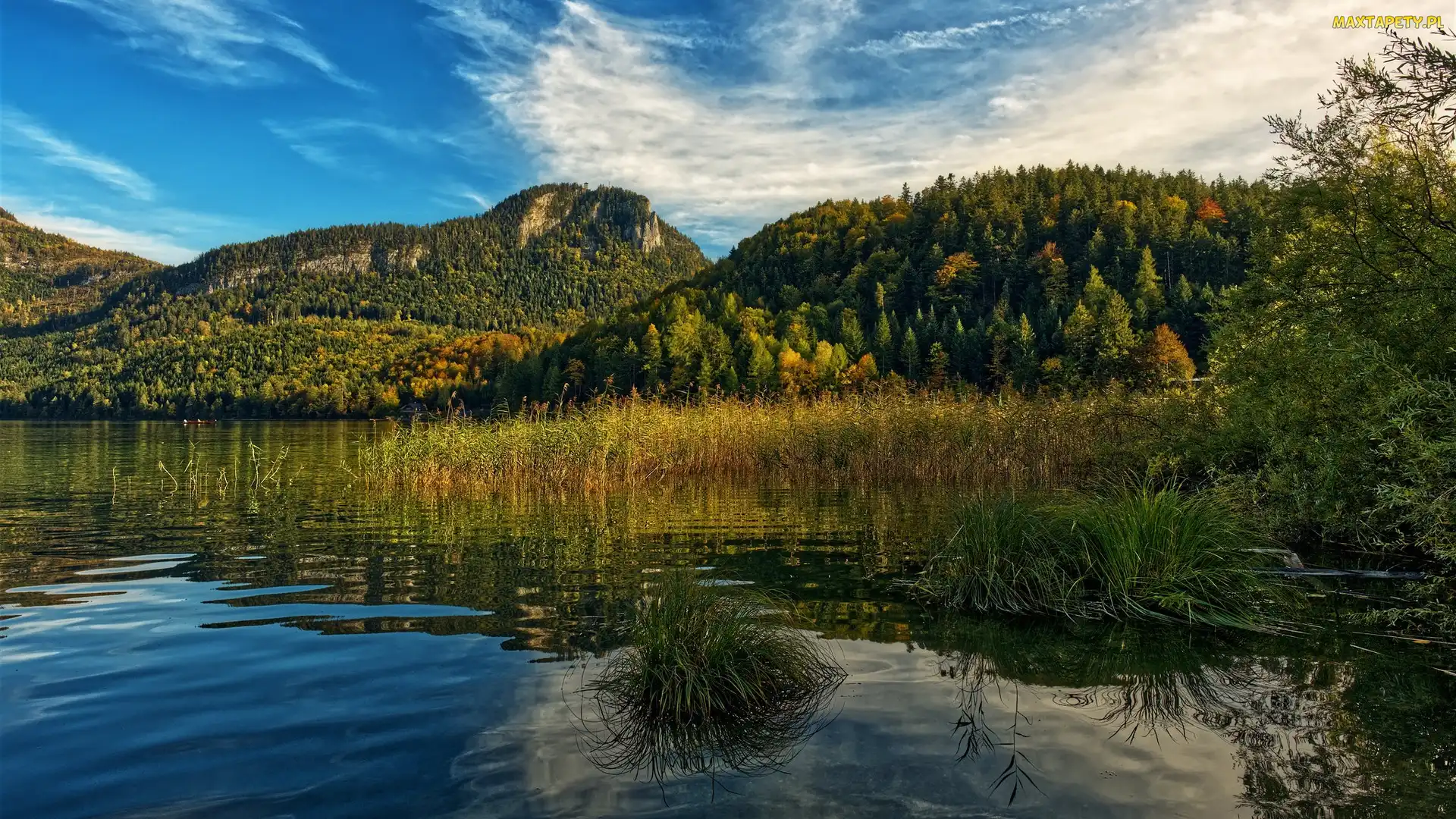 Góry, Jezioro, Trawy, Szuwary, Kępki, Drzewa