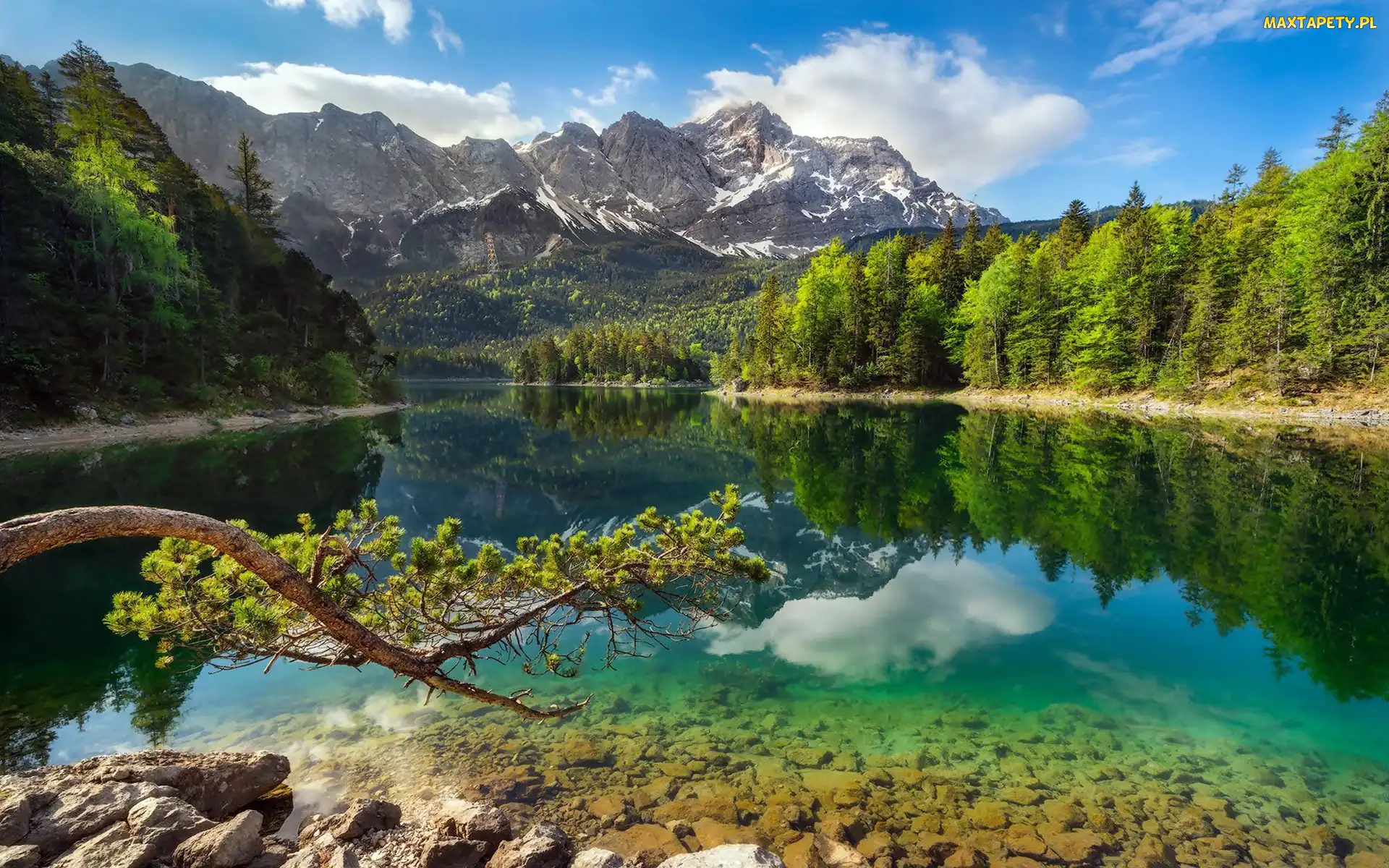 Bawaria, Alpy Bawarskie, Niemcy, Góry, Drzewa, Jezioro Eibsee, Lasy, Szczyt Zugspitze