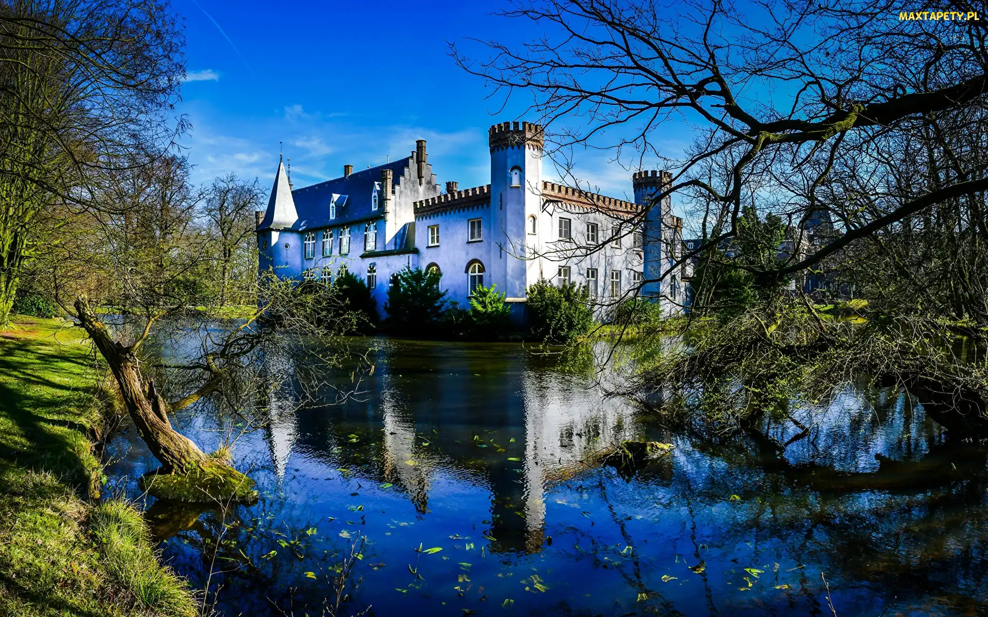 Staw, Drzewa, Holandia, Stapelen Castle, Boxtel, Zamek w Boxtel