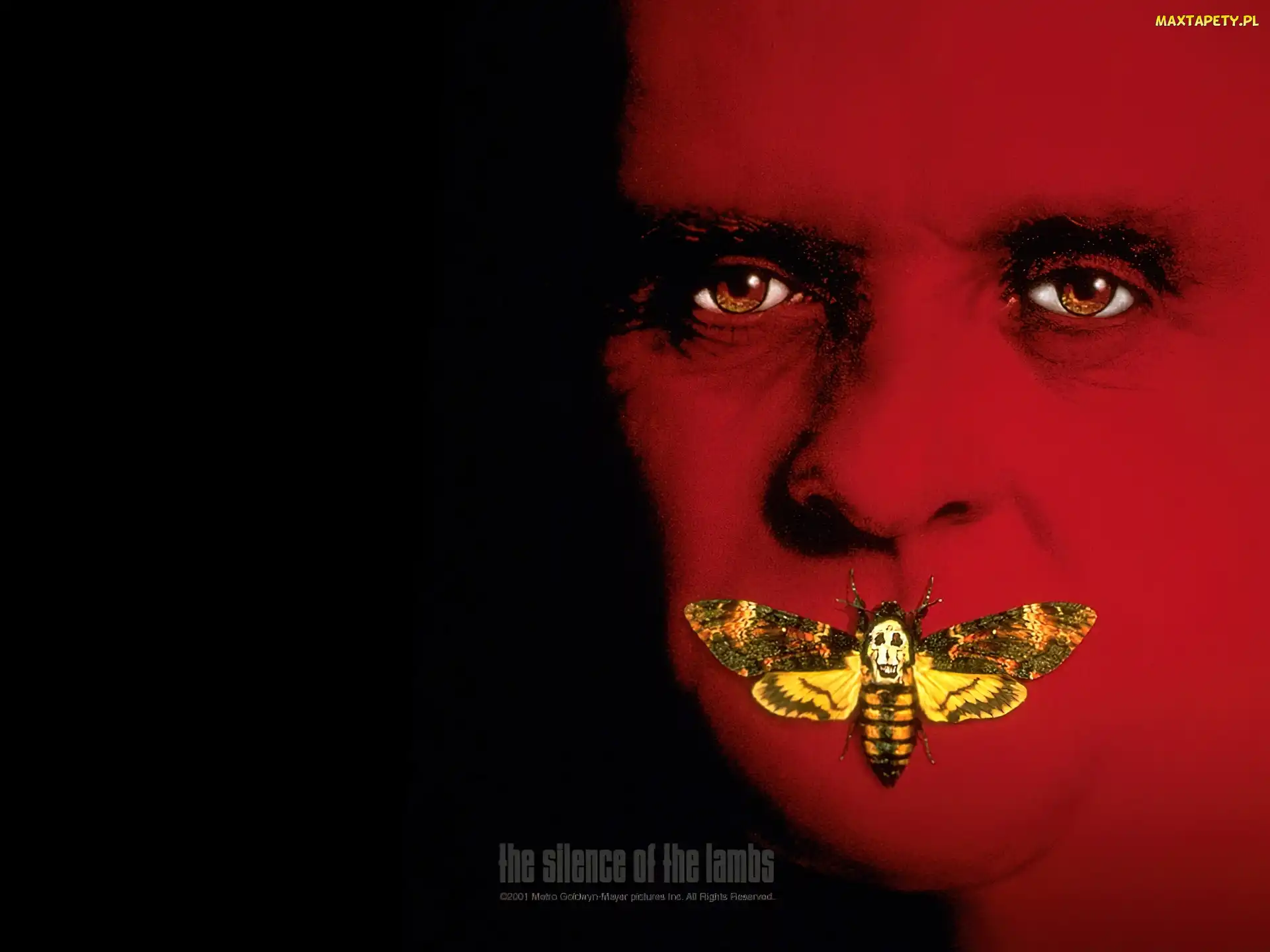 twarz, owad, motyl, zmarszczki, The Silence Of The Lumbs