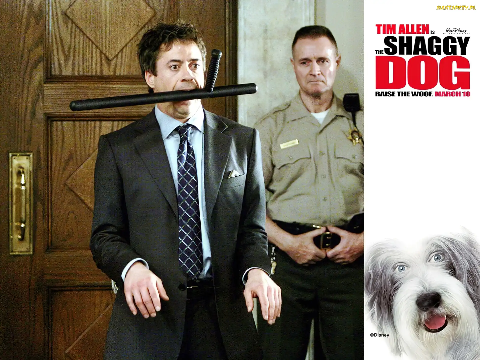 pałka, garnitur, policjant, pies, The Shaggy Dog