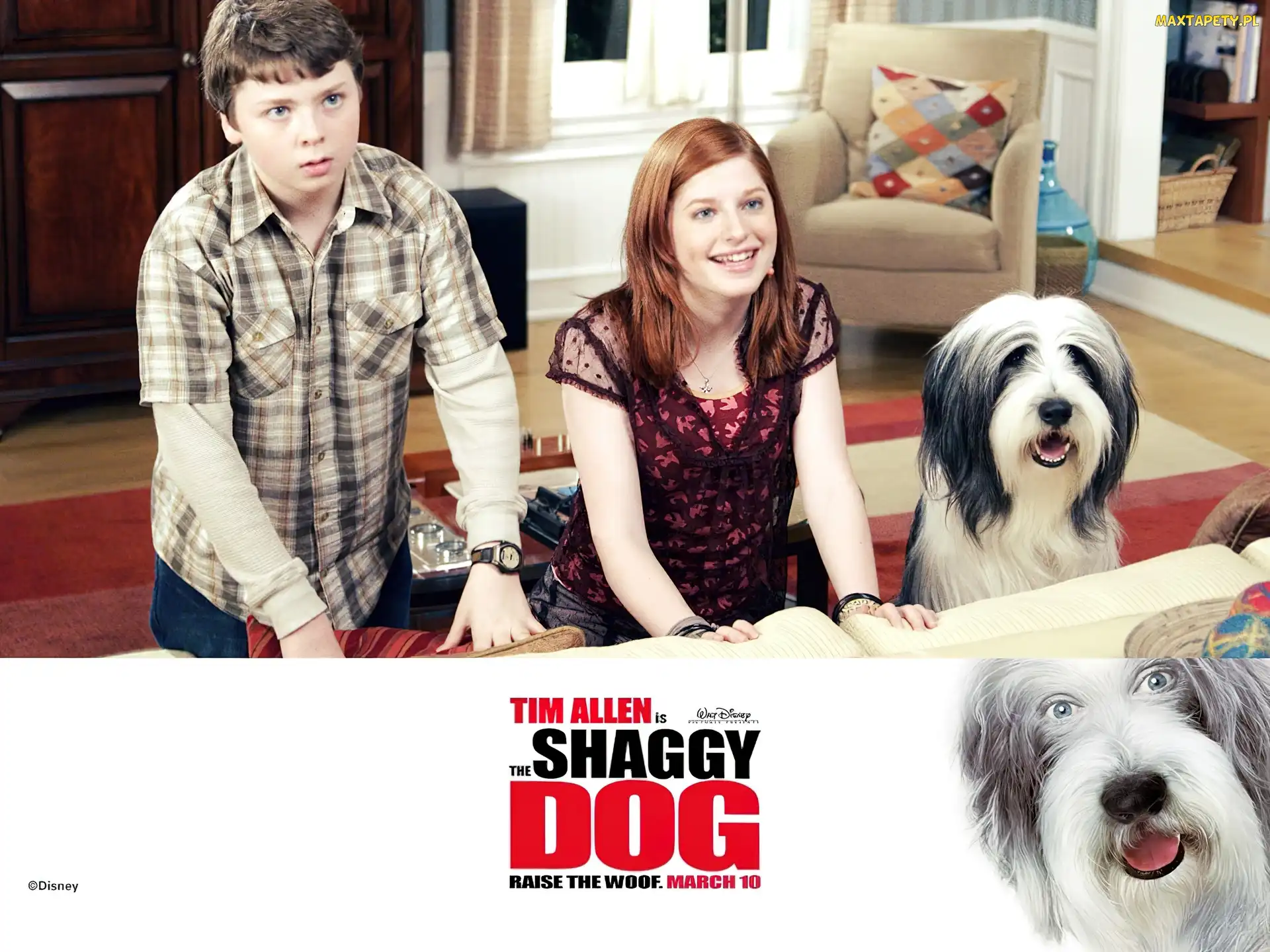pokój, dzieci, The Shaggy Dog, pies