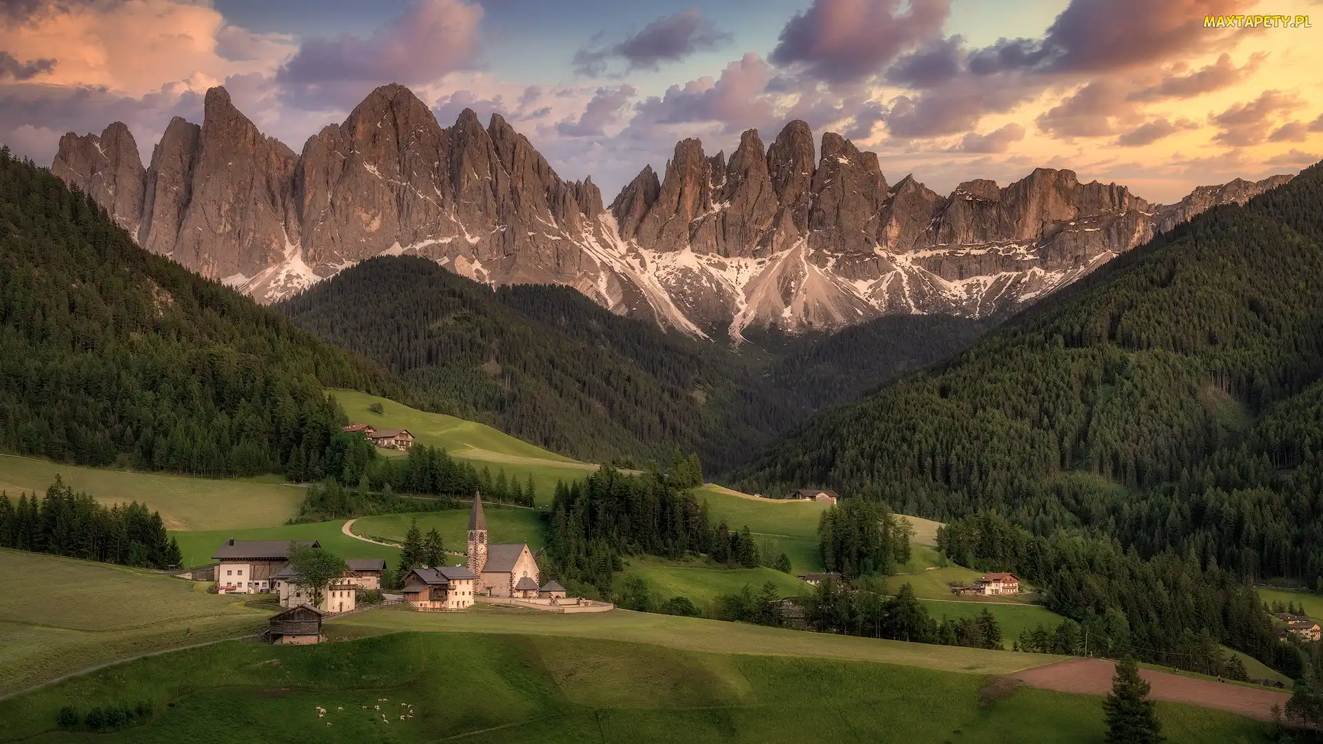 Drzewa, Lasy, Góry, Santa Maddalena, Zabudowania, Włochy, Dolomity, Kościół, Dolina Val di Funes, Masyw Odle, Wieś