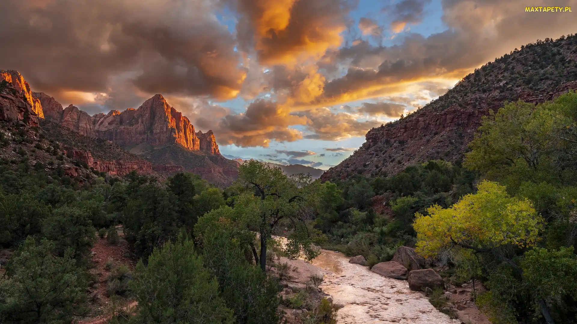 Stan Utah, Góra Watchman, Stany Zjednoczone, Góry, Virgin River, Park Narodowy Zion, Drzewa, Rzeka
