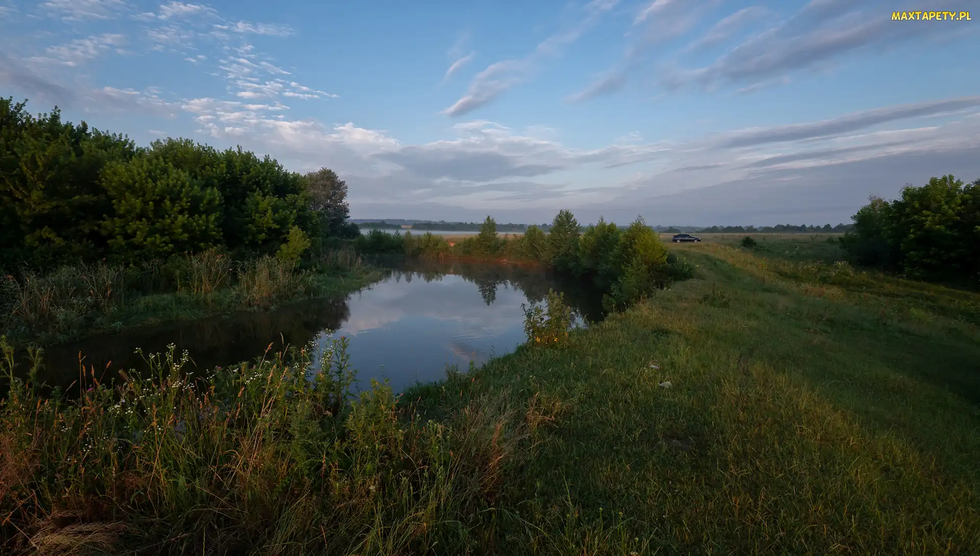 Rośliny, Trawa, Rzeka, Drzewa