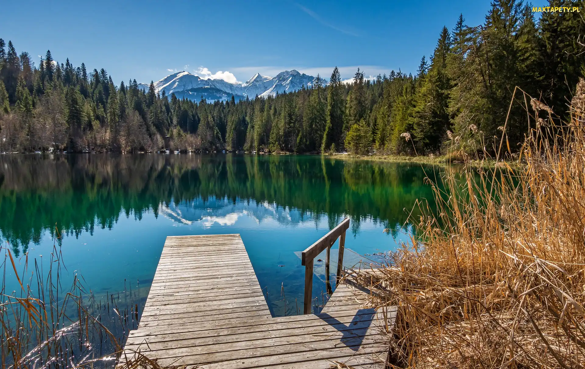Pomost, Trzcina, Cresta Lake, Jezioro, Szwajcaria, Alpy, Góry, Kanton Gryzonia, Drzewa