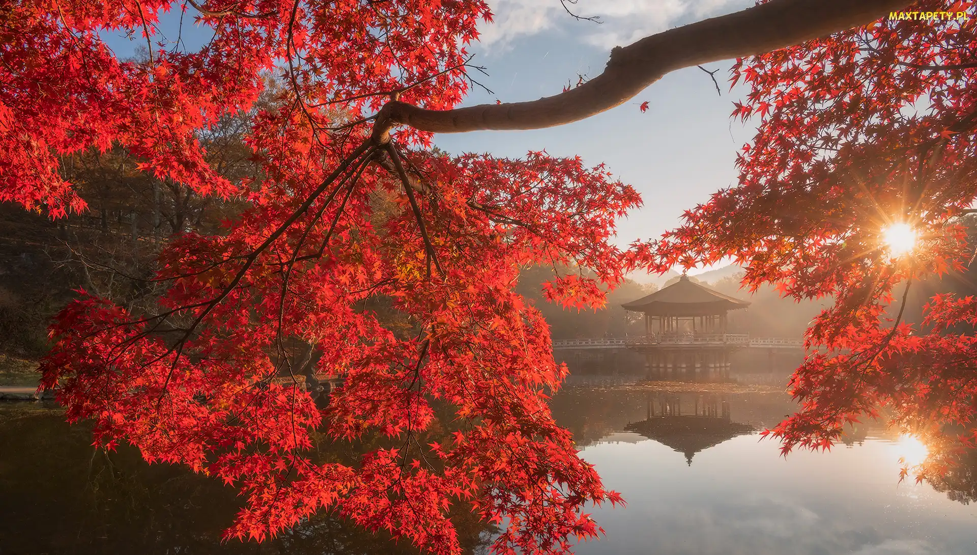 Jesień, Nara, Pawilon Ukimido, Nara Park, Staw, Drzewo, Czerwone, Altana, Gałęzie, Sagiike, Promienie słońca, Japonia, Liście