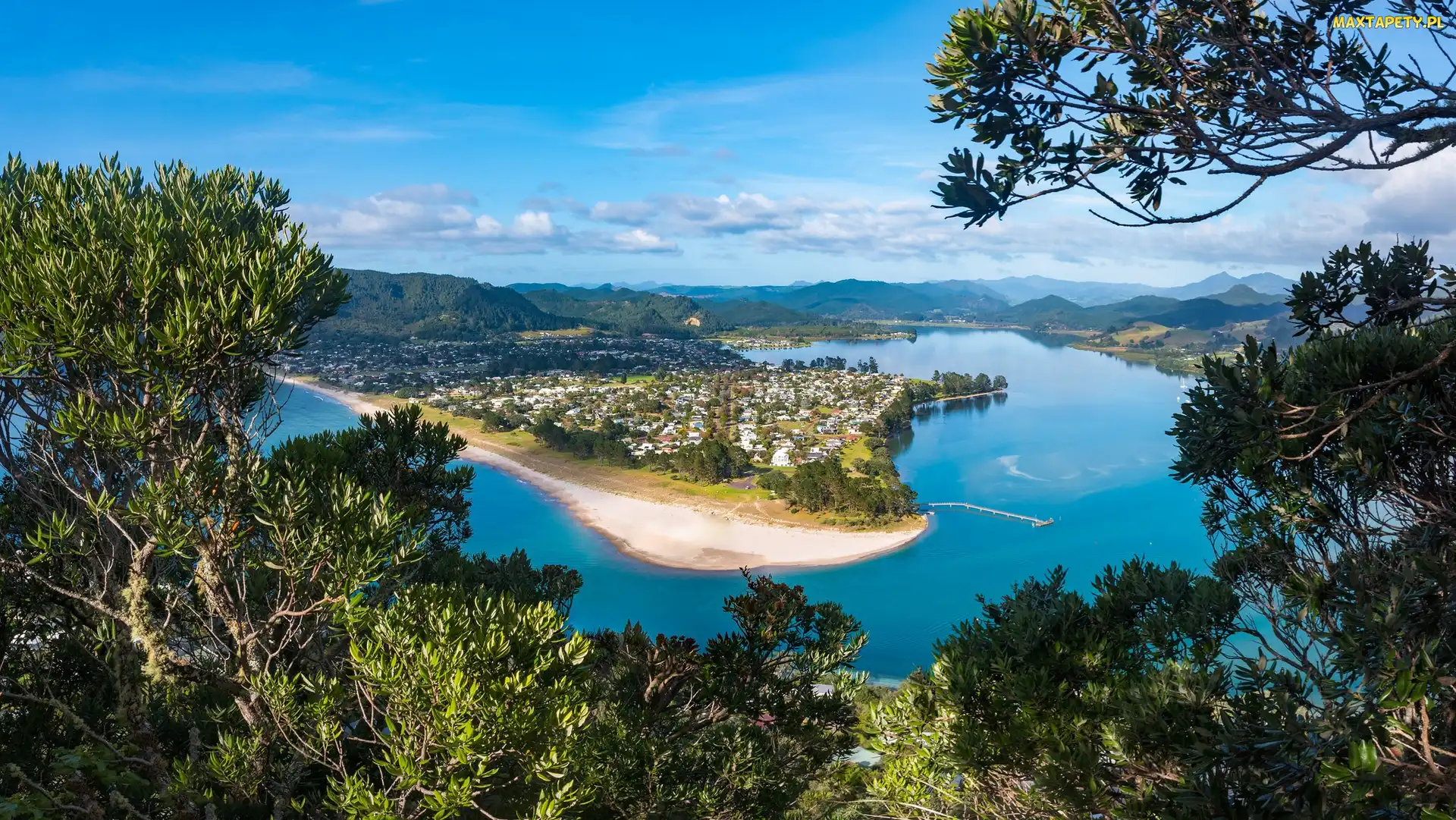 Nowa Zelandia, Region Waikato, Rzeka, Drzewa, Tairua River, Pauanui