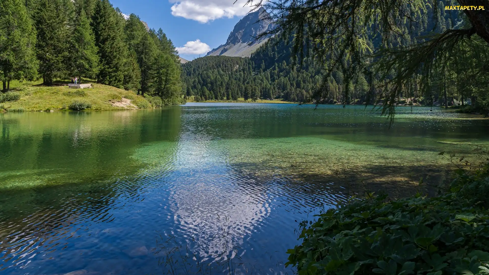 Jezioro, Las, Drzewa, Zielone, Góry