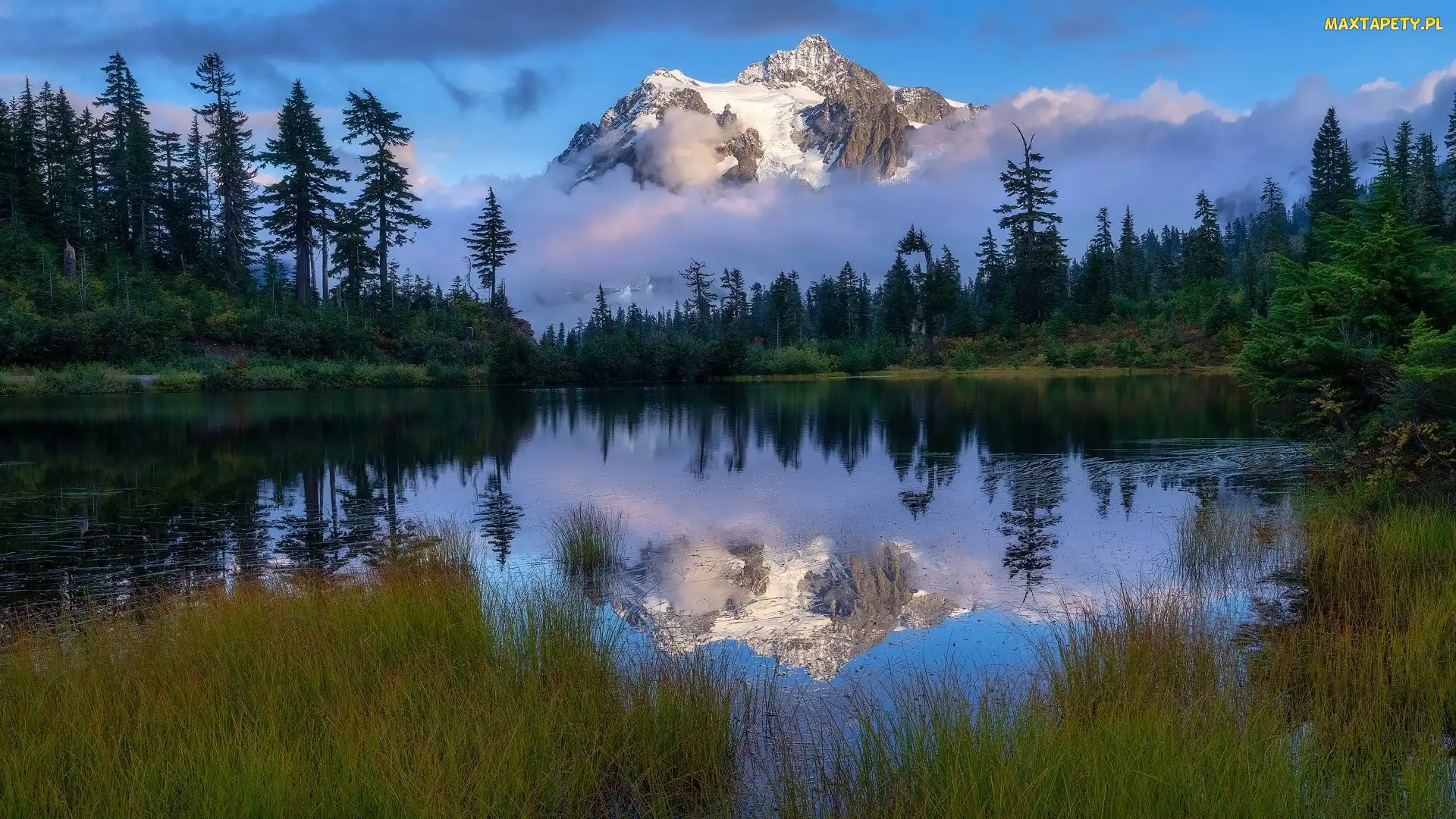 Drzewa, Picture Lake, Mount Baker, Góry, Stany Zjednoczone, Odbicie, Mgła, Stan Waszyngton, Jezioro